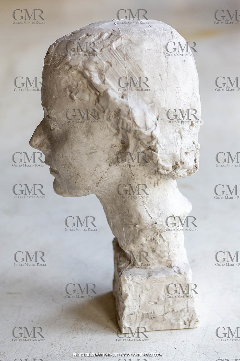 20 07 2020, St Rémy de Provence (FRA,13), Oeuvre de Germaine Richier, Buste n° 15 1933 ou 1934, plâtre de tirage, collection particulière