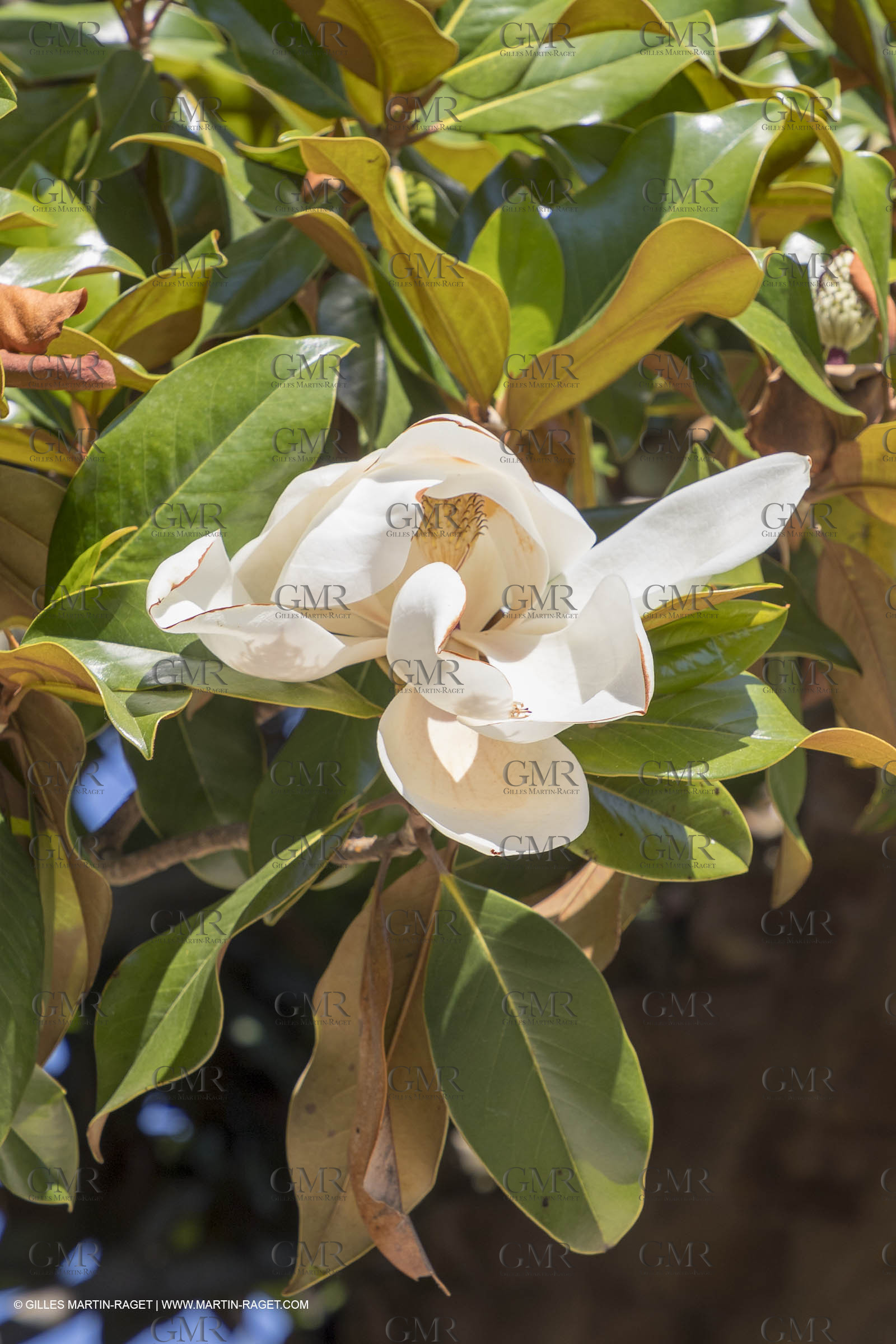 20 06 2018, Ménerbes (FRA,84), La Bastide de Marie