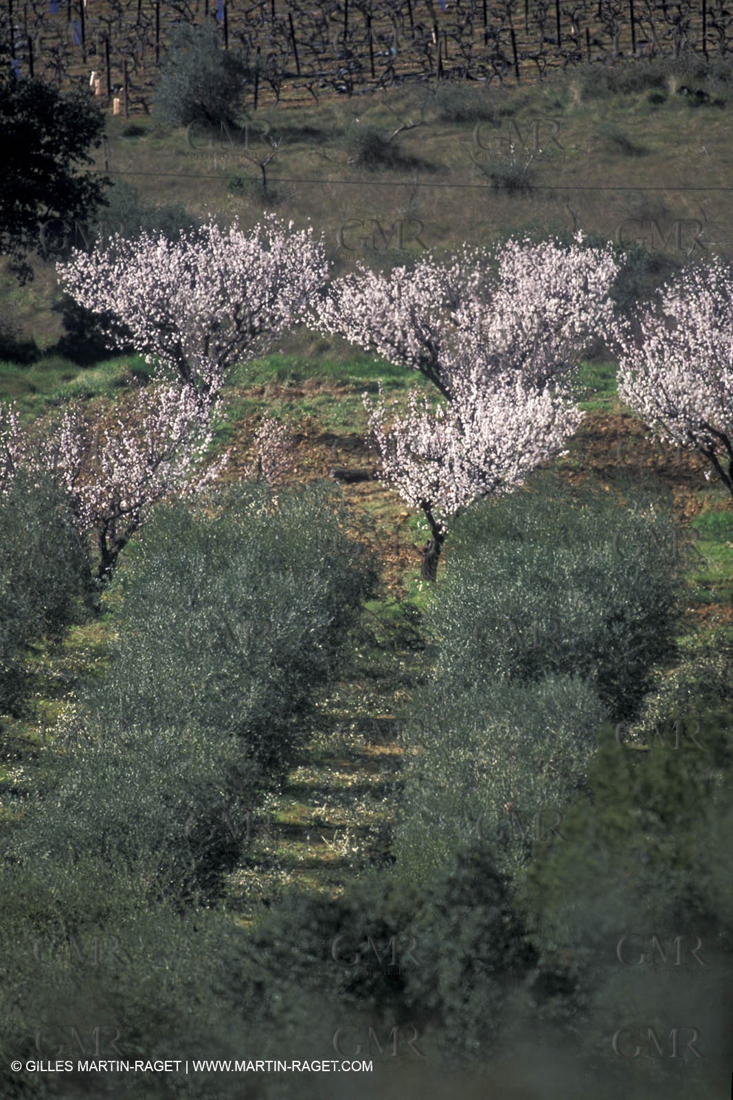 Saint Côme and Maruejols