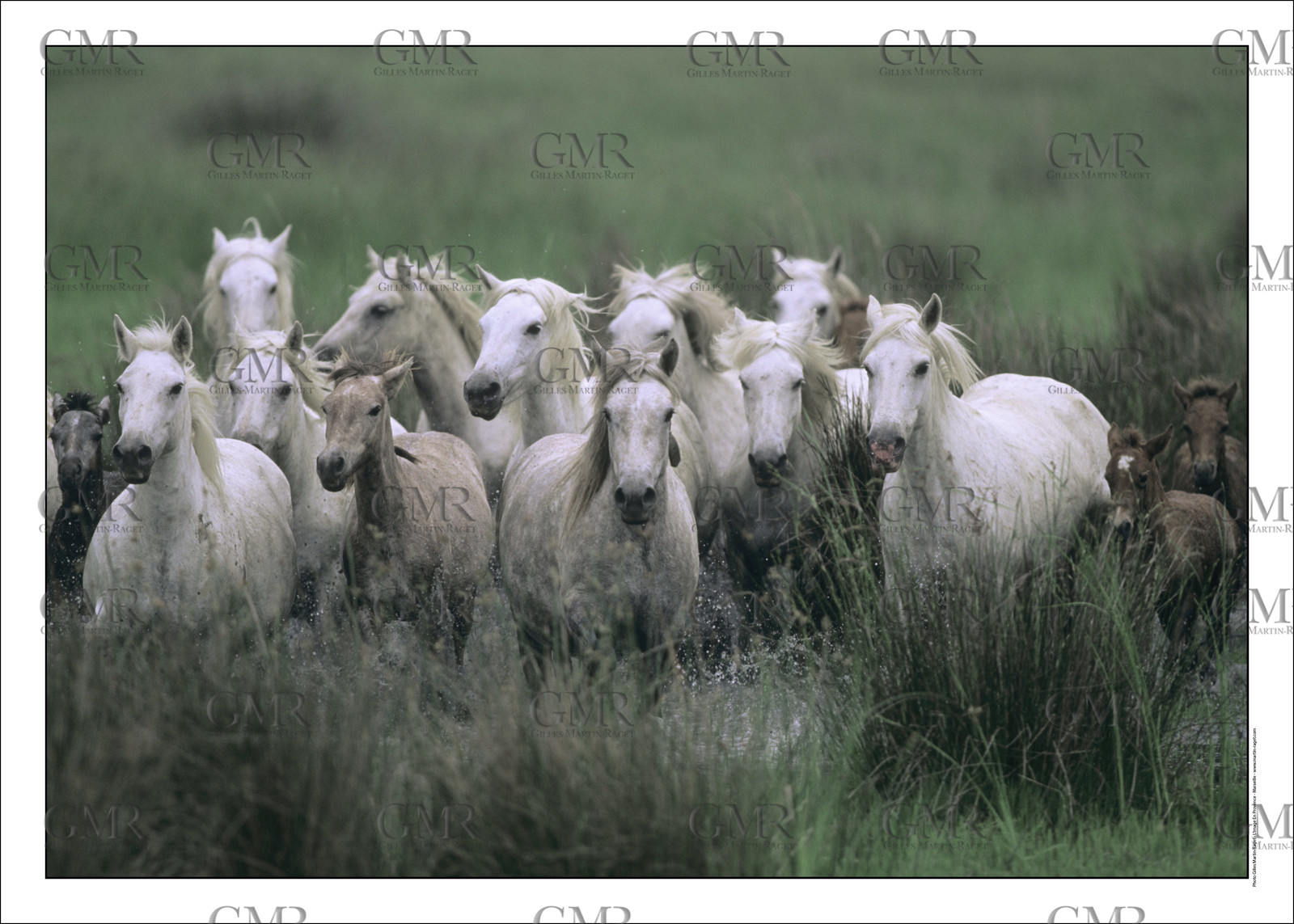 Produit : Tirage photo réalisé par nos soins sur imprimante jet d'encre professionnelle Epson à partir de 8 encres ultrachrome inaltérables (label Digigraphie).Formats au choix : . 30x40 cm. 50x70 cm. 80x120 cm.Choix des papiers :. Papier standard brillant 250 gr., filet noir, marge blanche, tirage non signé. Papier haut de gamme satiné 290 gr. filet noir, marge blanche, tirage vérifié et signé par l'auteur.. Autres supports (canvas, acrylique, dibond) sur demandeConditionnement : tube cylindrique renforcé.Options pour l'expédition : . colissimo + dépôt boîte aux lettres (France uniquement). Colissimo avec signature à réception. Transporteur express (2 jours ouvrés) avec signature à réceptionCliquez sur caddie pour sélectionner votre formule et démarrer la procédure de commande en ligne