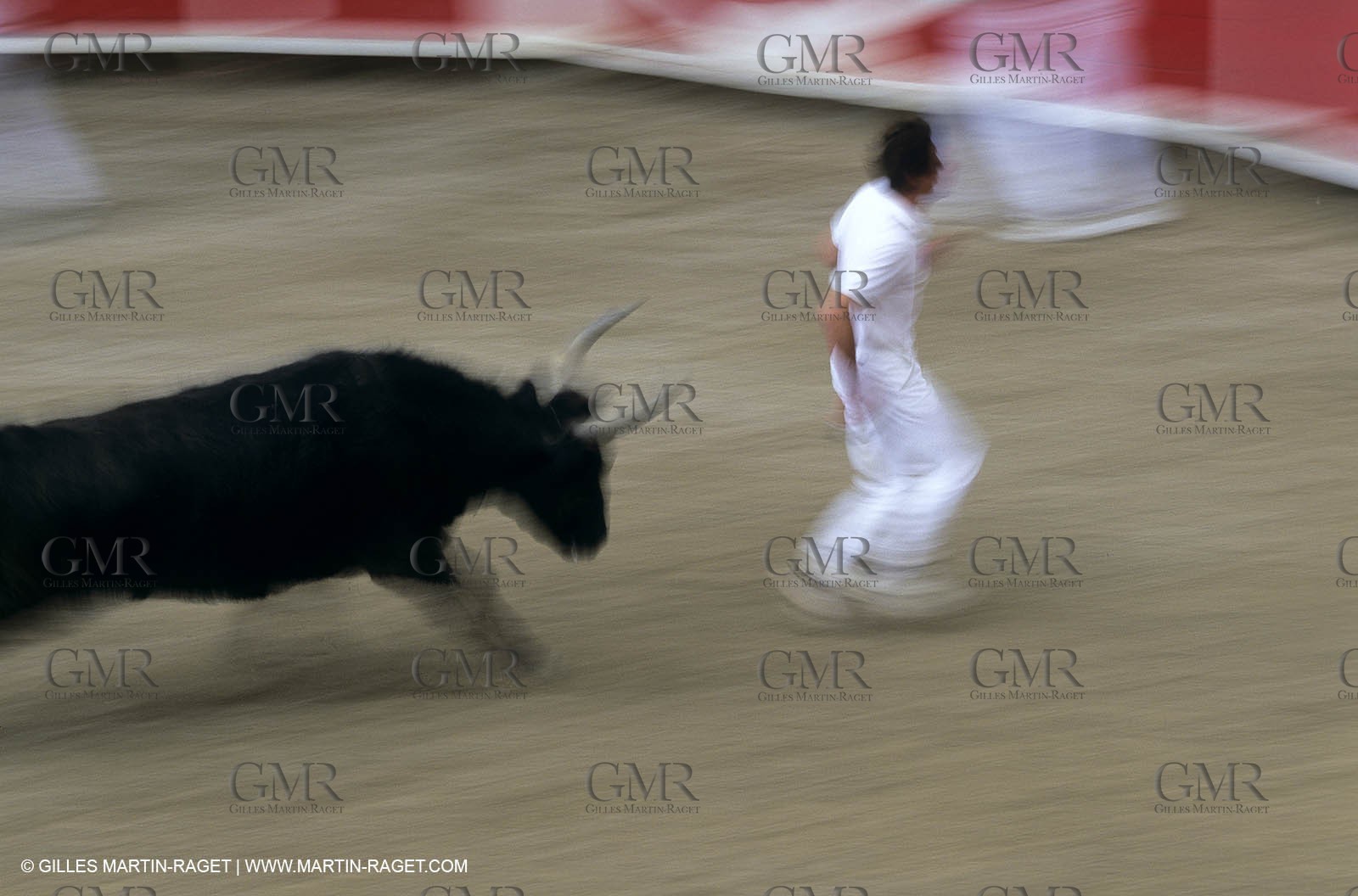 Gard, (FRA,30) - Camargue bull game