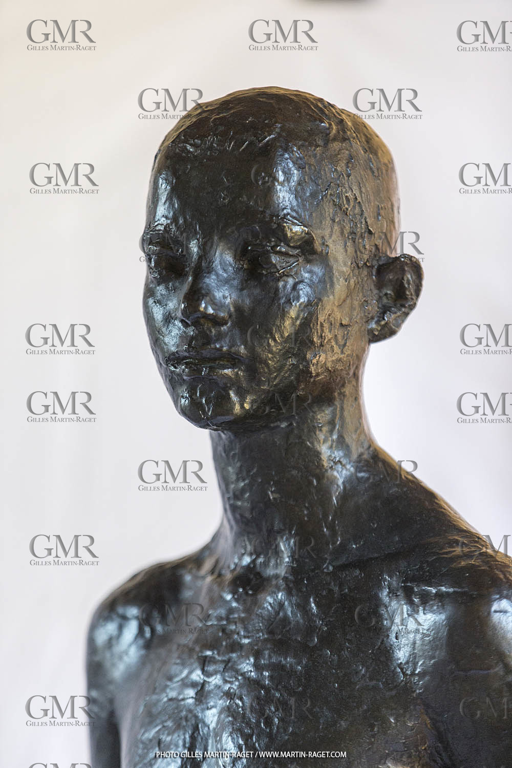 06 03 2016, Saint-Etienne du Grès (FRA,13), Oeuvre de Germaine Richier, Loretto I 1934, Bronze patiné foncé, Numéroté 4 6, fondeur Susse, Paris, 160 x 52 x 35 cm, Collection particulière