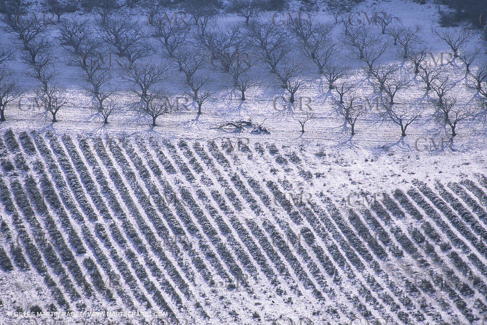 France, Provence sous la neige, Snow, winter, hiver