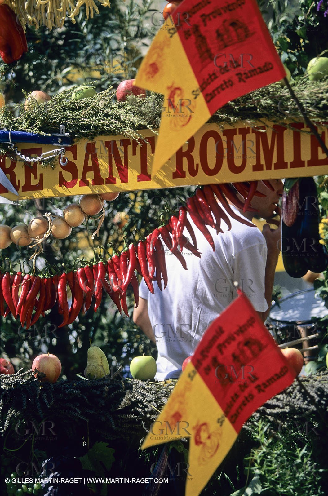 Saint Rémy de Provence (FRA,13) - Careto ramado (charrette fleurie)