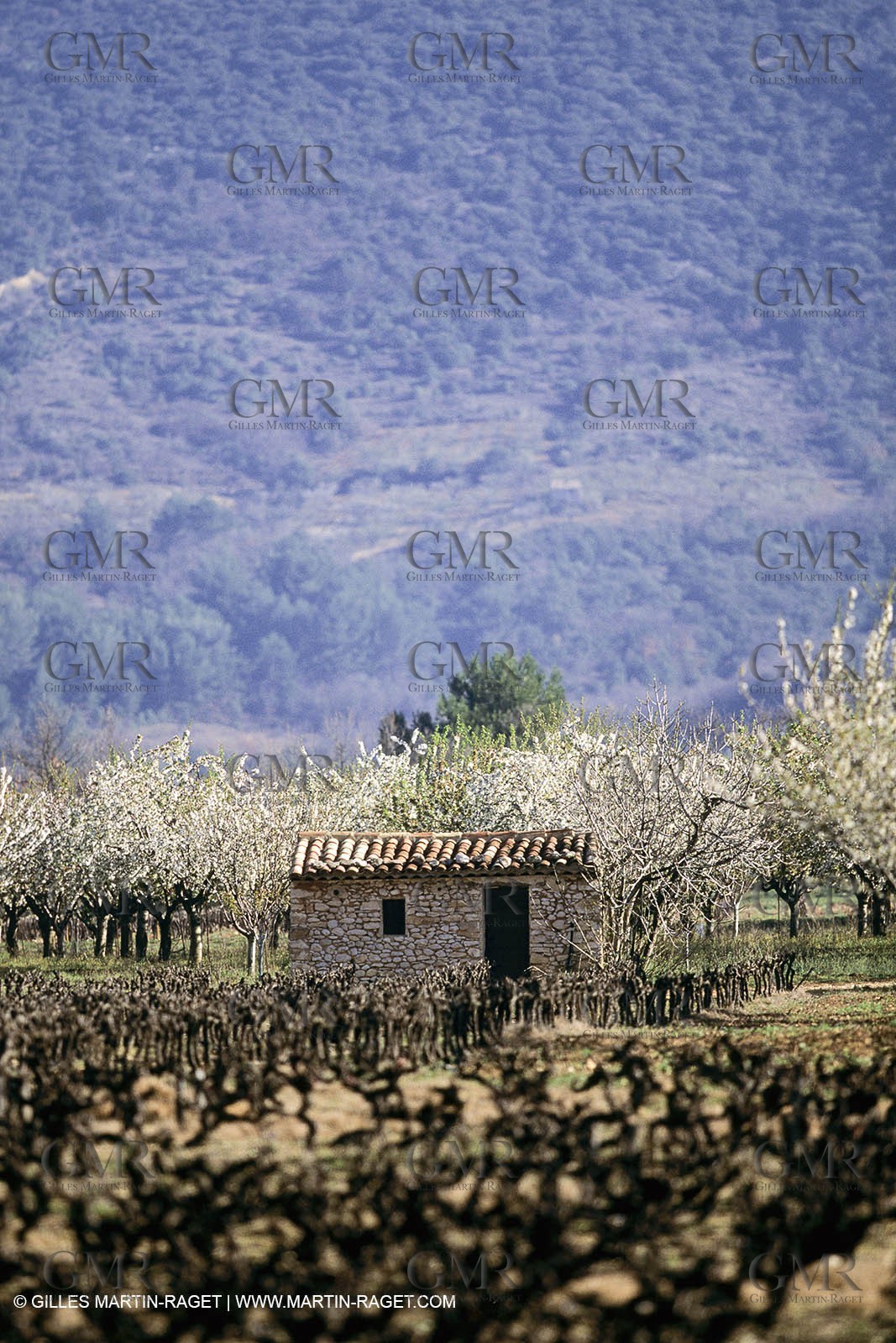 Luberon en hiver vers Saint Saturnin les Apts (FRA,84)