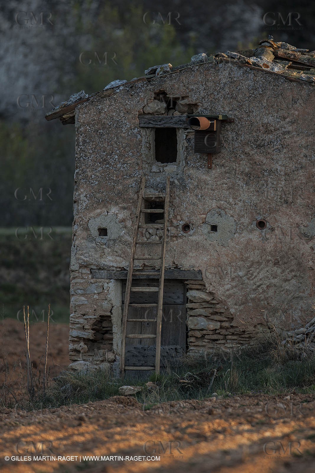March 30th 2012 - Saint Saturnin les Apt (FRA, 84) - blooming cherry trees