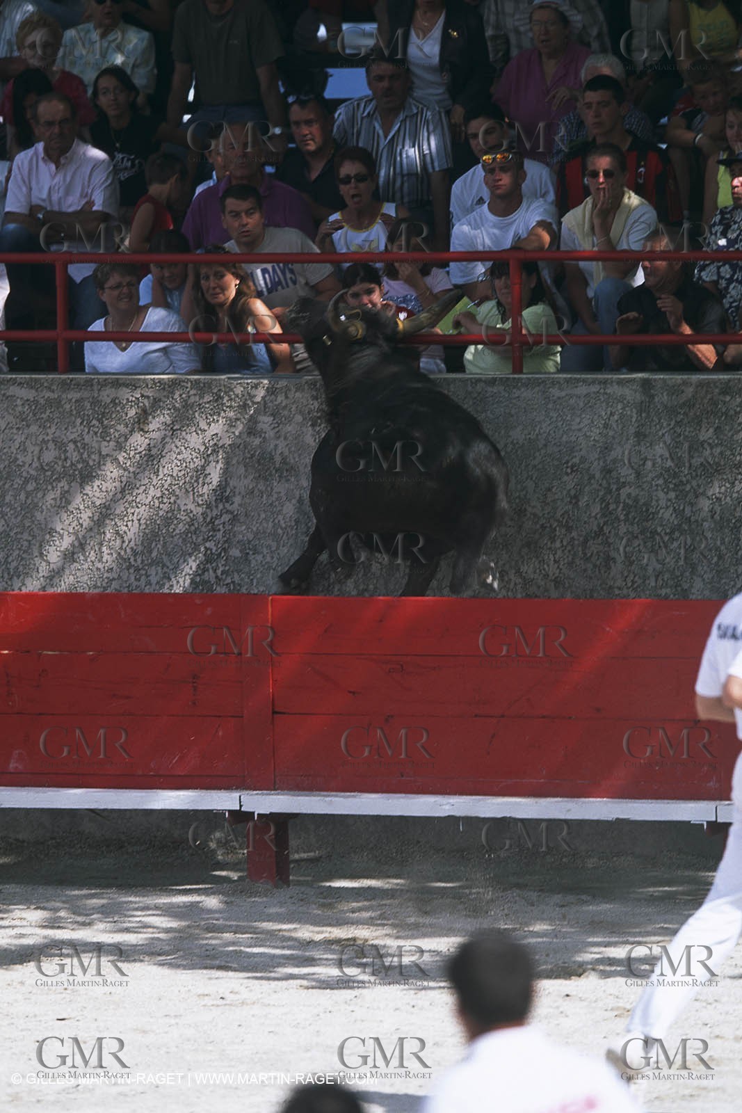 Nîmes Métropole landscapes (FRA,30) - Vaunage