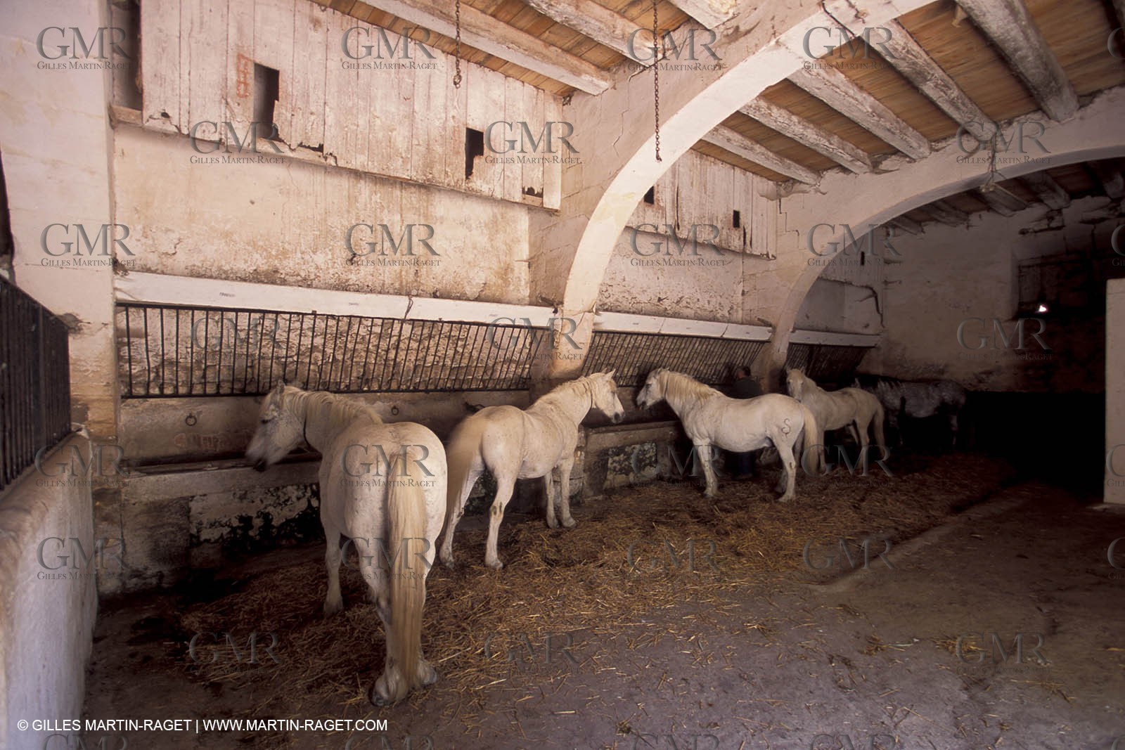 Camargue typical house