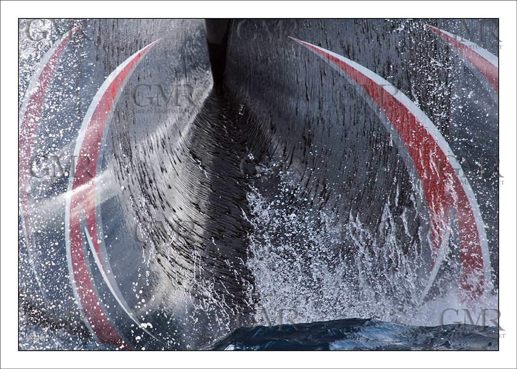 AC 2007 - Alinghi Bow