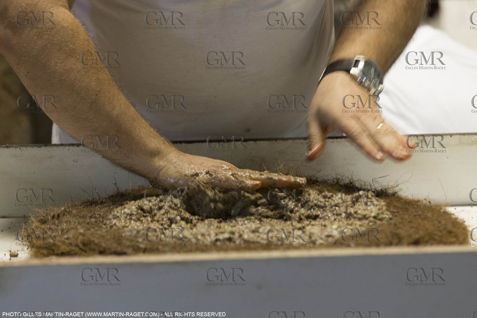 14 11 2015, Saint-Etienne du Grès (FRA,13), traditional making of olive oil at La Croix mill