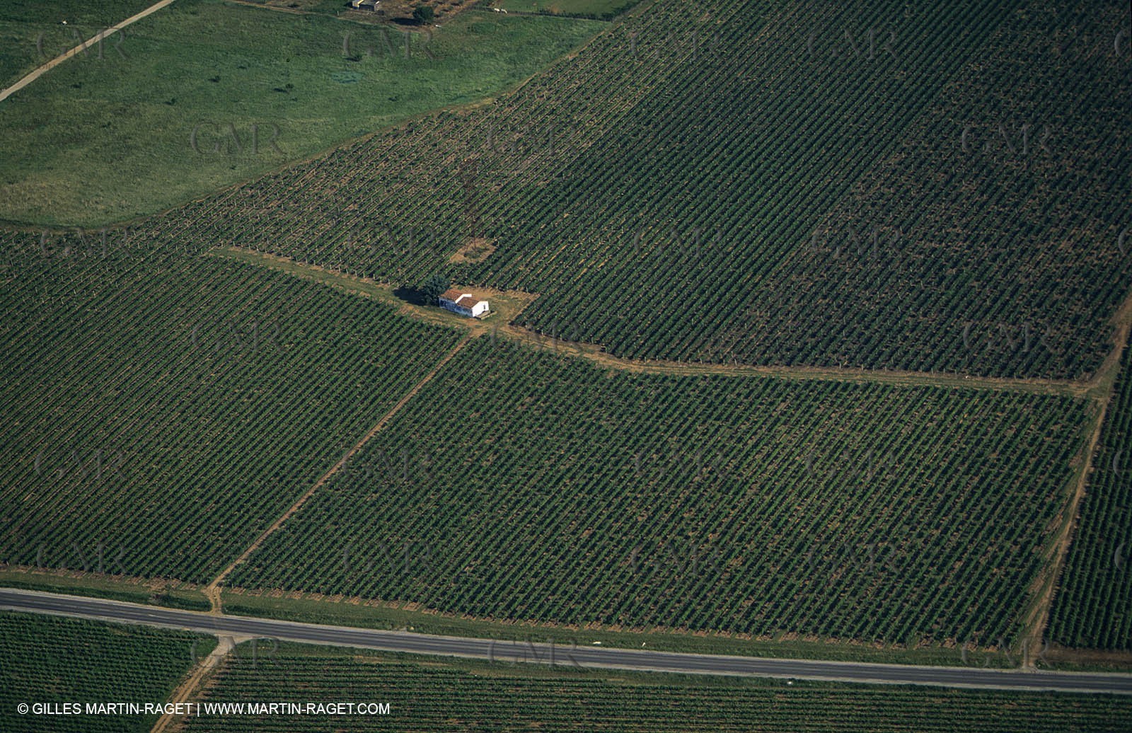 Paysages de Nîmes Métropole (FRA,30) -Costières
