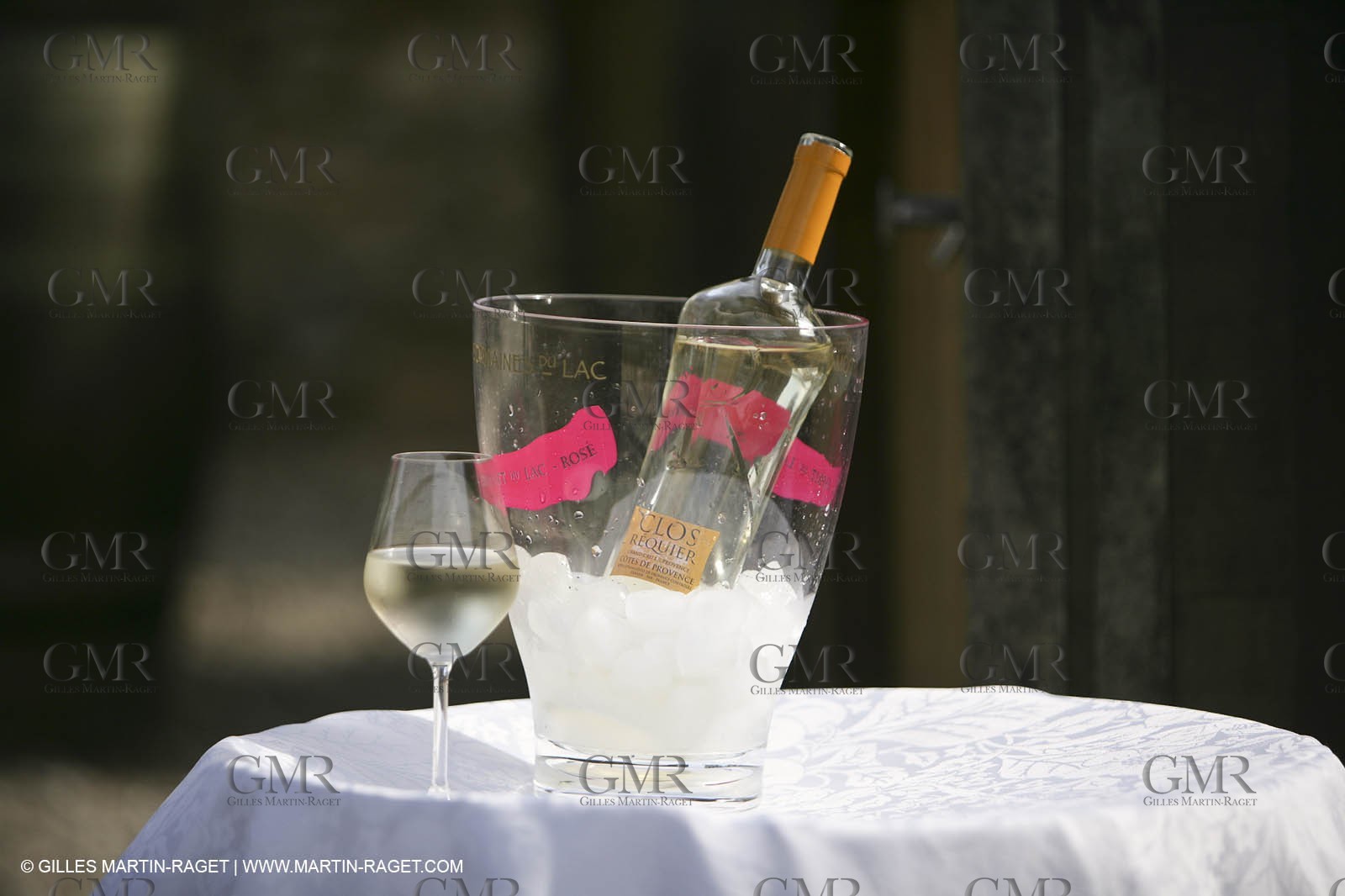 28 02 2008 - Cabasse (FRA, 83) - Domaine du Lac vines