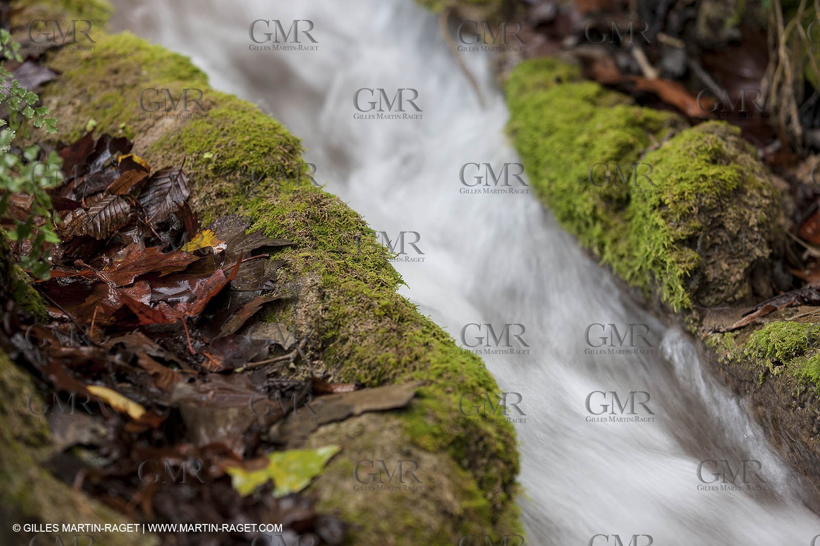 23 10 2012 - Gemenos (FRA) - Départemental Park of Saint Pons valley