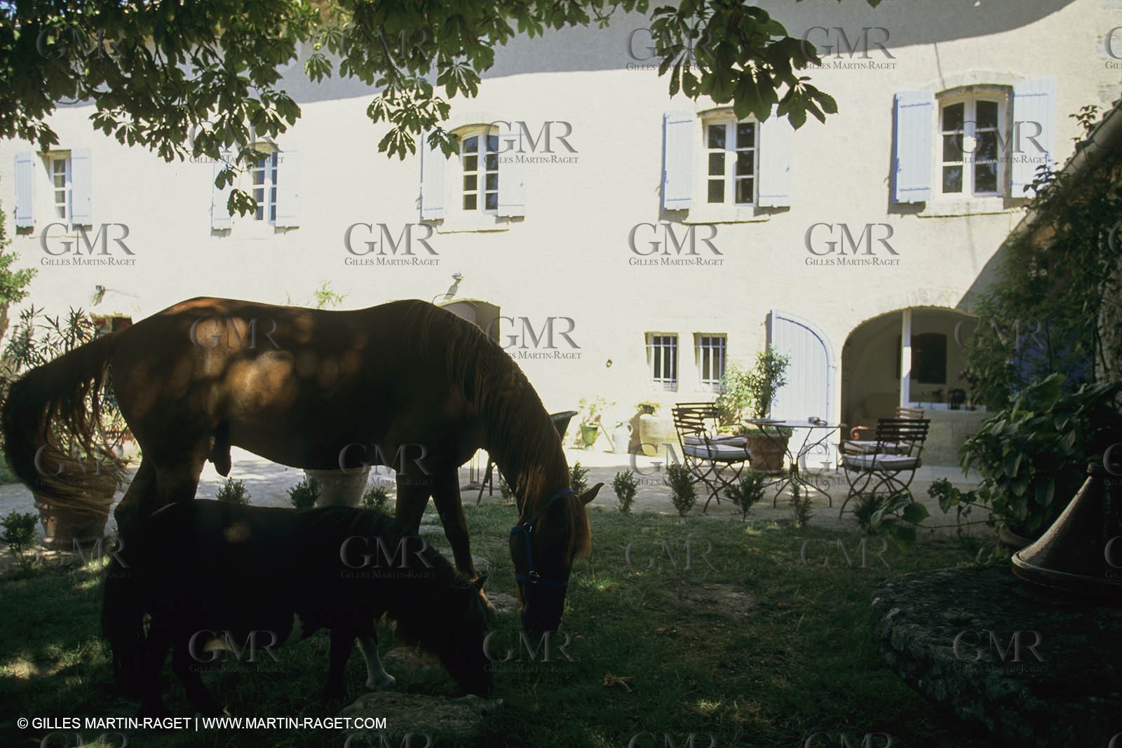France, Provence, Mas, maison, propriétés, Vansorgues