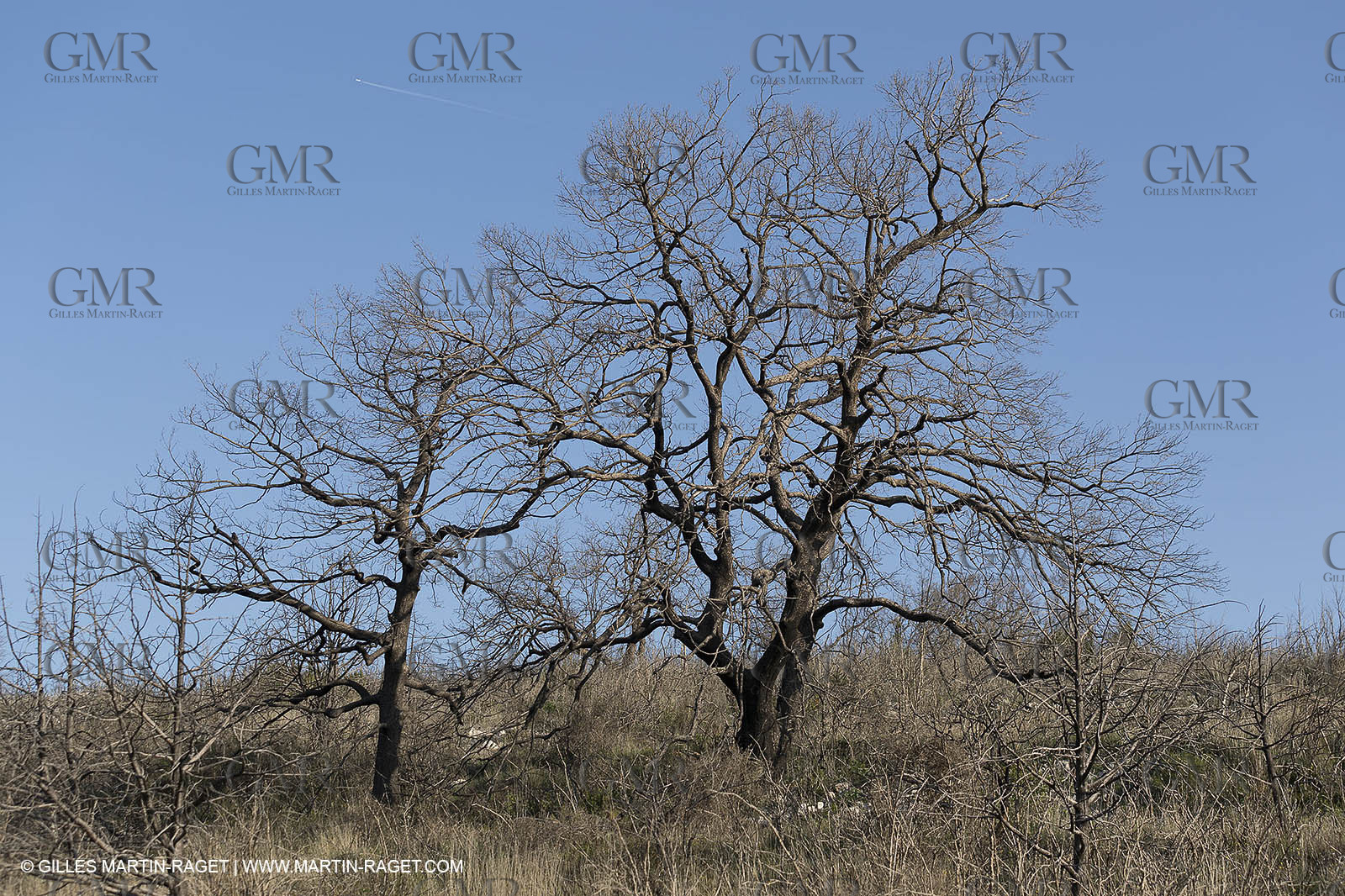 19 04 2018, Auribeau (FRA,84)