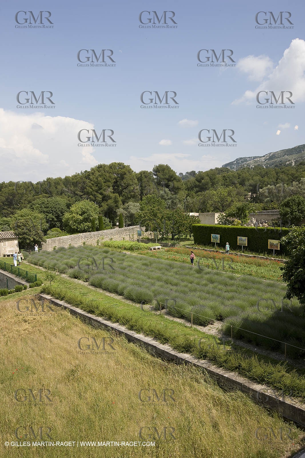 10 06 2008 - Saint Rémy de Provence - (FRA, 13) - Vincent Van Gogh south - Saint Paul de Mausole