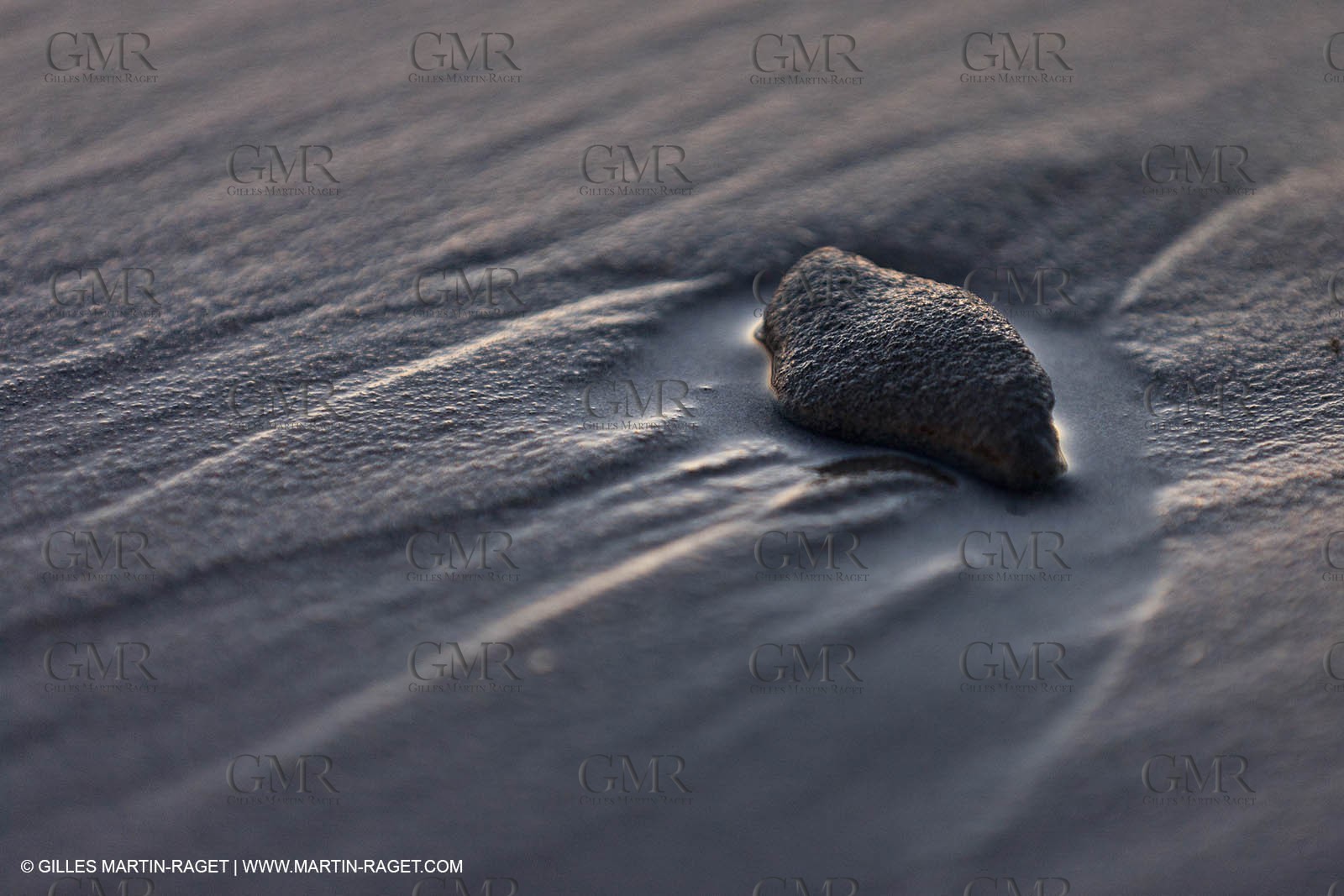 25 05 2011 - Les Saintes Maries de la Mer (FRA,13) - gypsies gathering