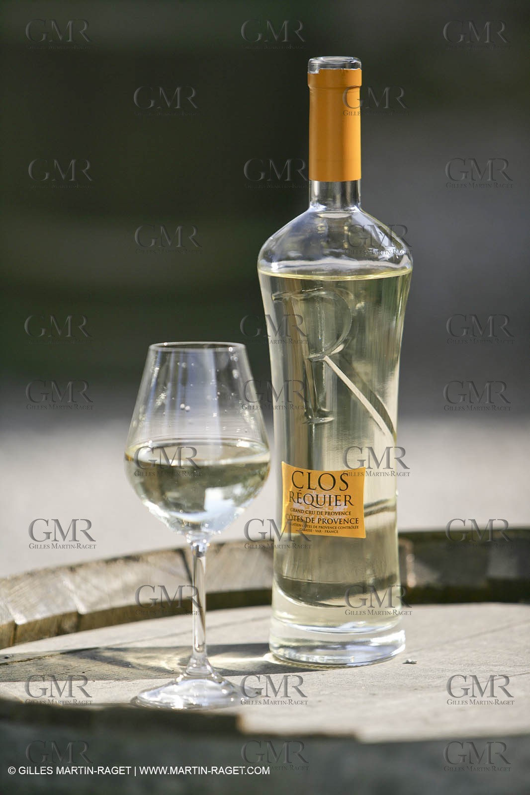 28 02 2008 - Cabasse (FRA, 83) - Domaine du Lac vines