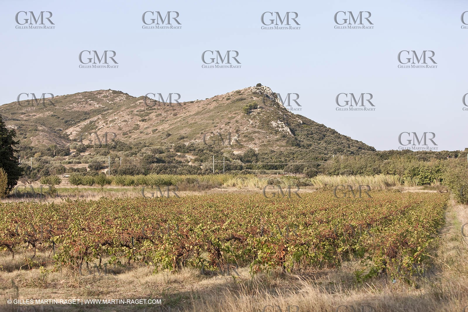 25 09 2009 - Sernhac (FRA,30)