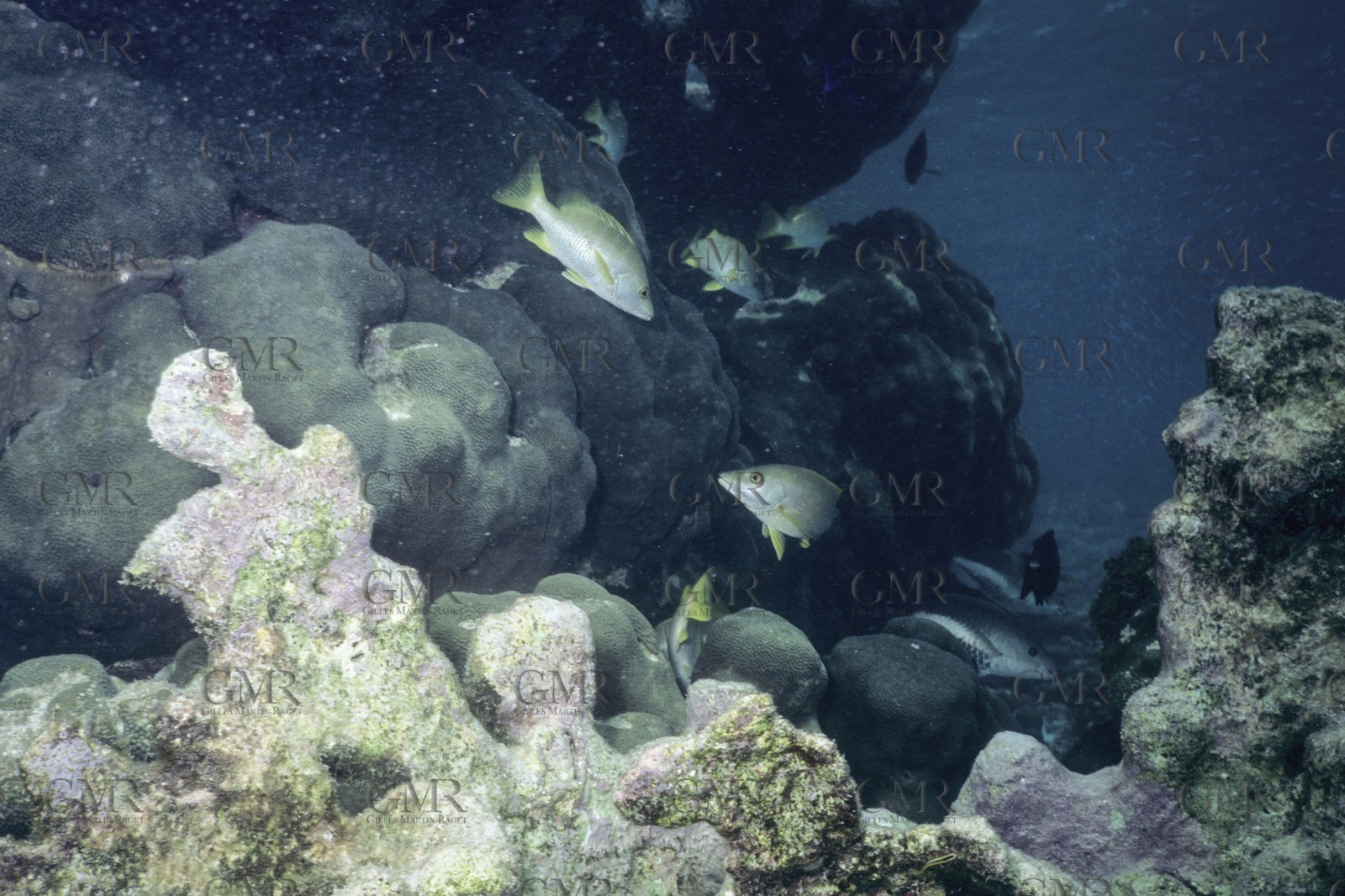 Destinations, Antilles, West Indies, Caribean, Grenadines