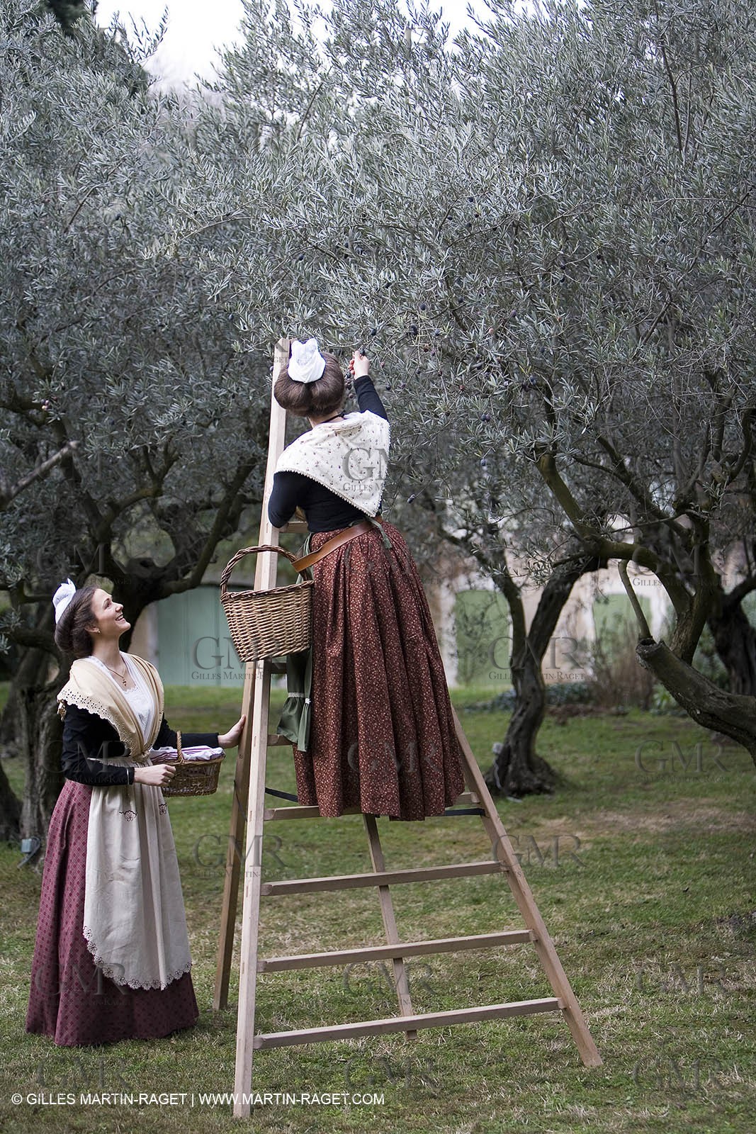 18 02 2007 - Saint Rémy de Provence - Queen of Arles in the Alpilles