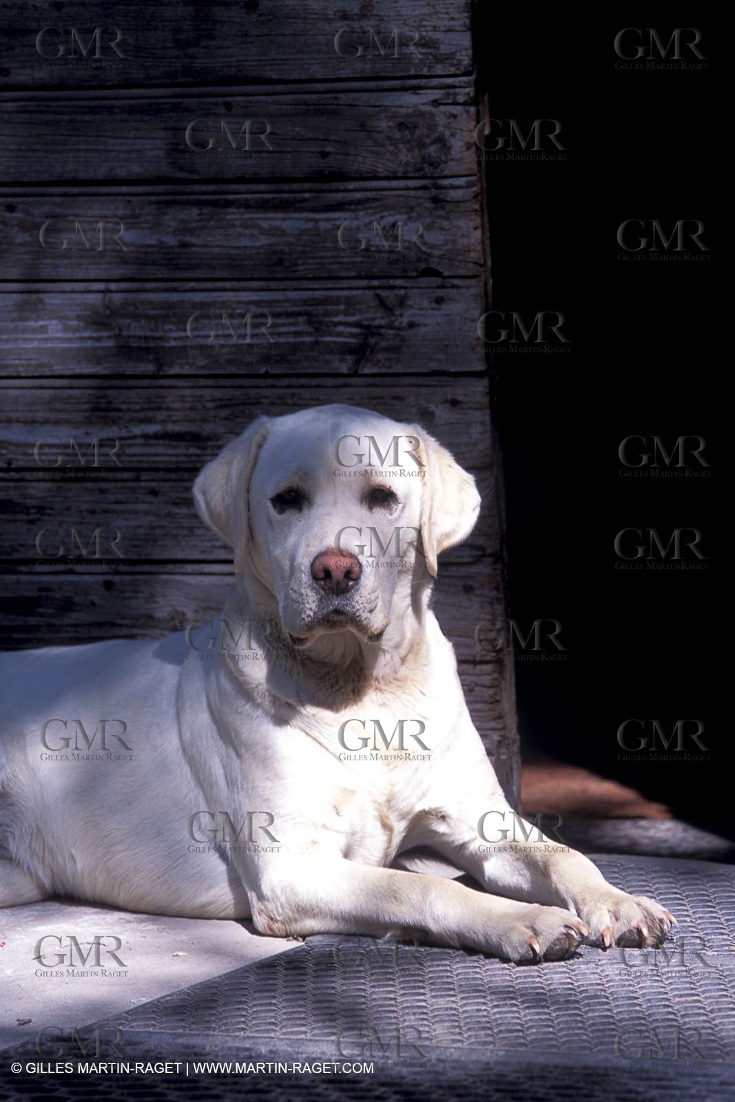 Camargue typical house