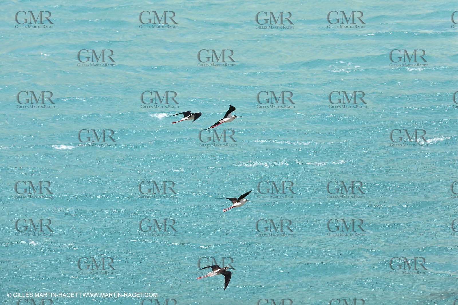 27 05 2009 - Marseille (FRA, 13) - Les Calanques - Sormiou