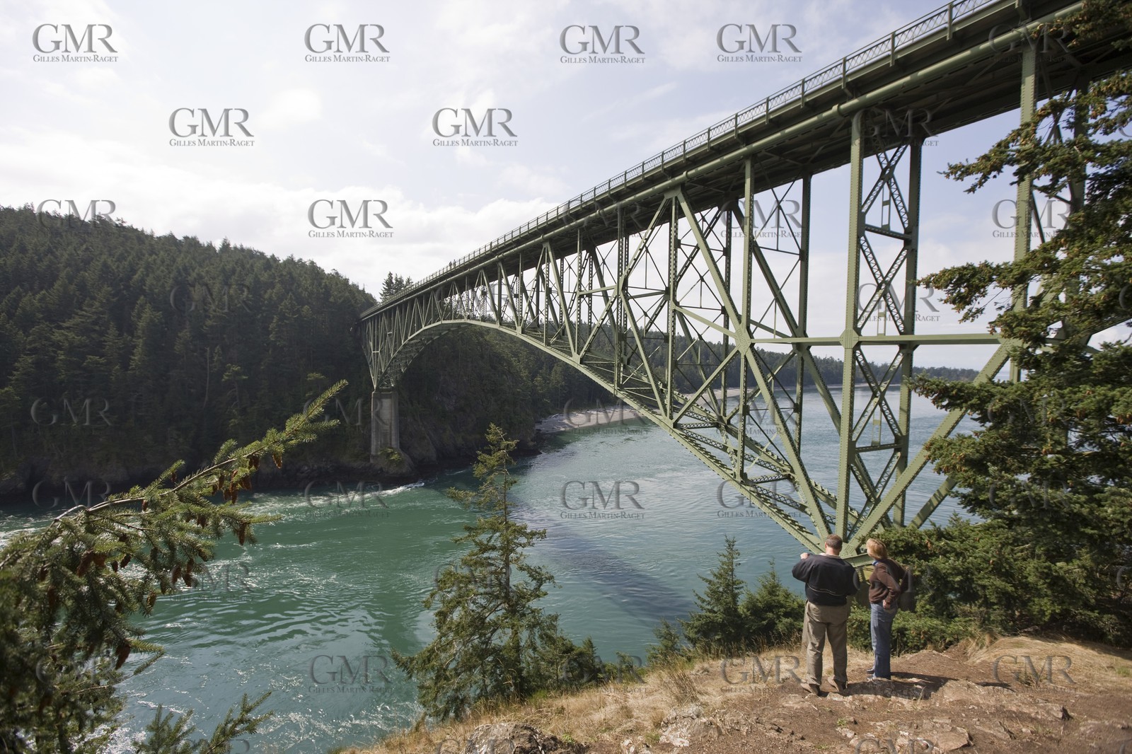 01 09 2008 - San Juan Islands (WA, USA) - Orques