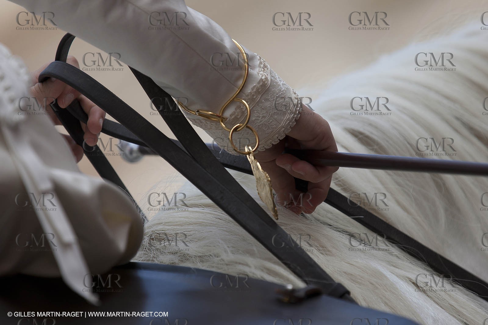 03 07 2011 - Arles (FRA,13) -  2011 Arles Costume celebration