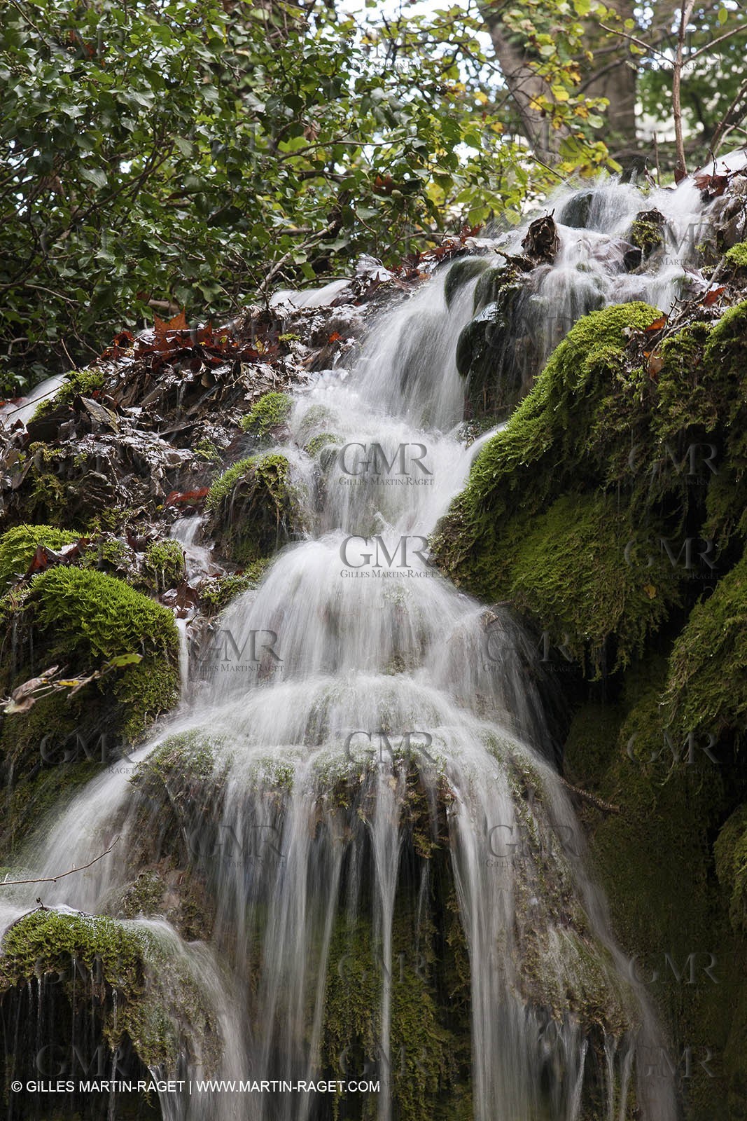 23 10 2012 - Gemenos (FRA) - Départemental Park of Saint Pons valley