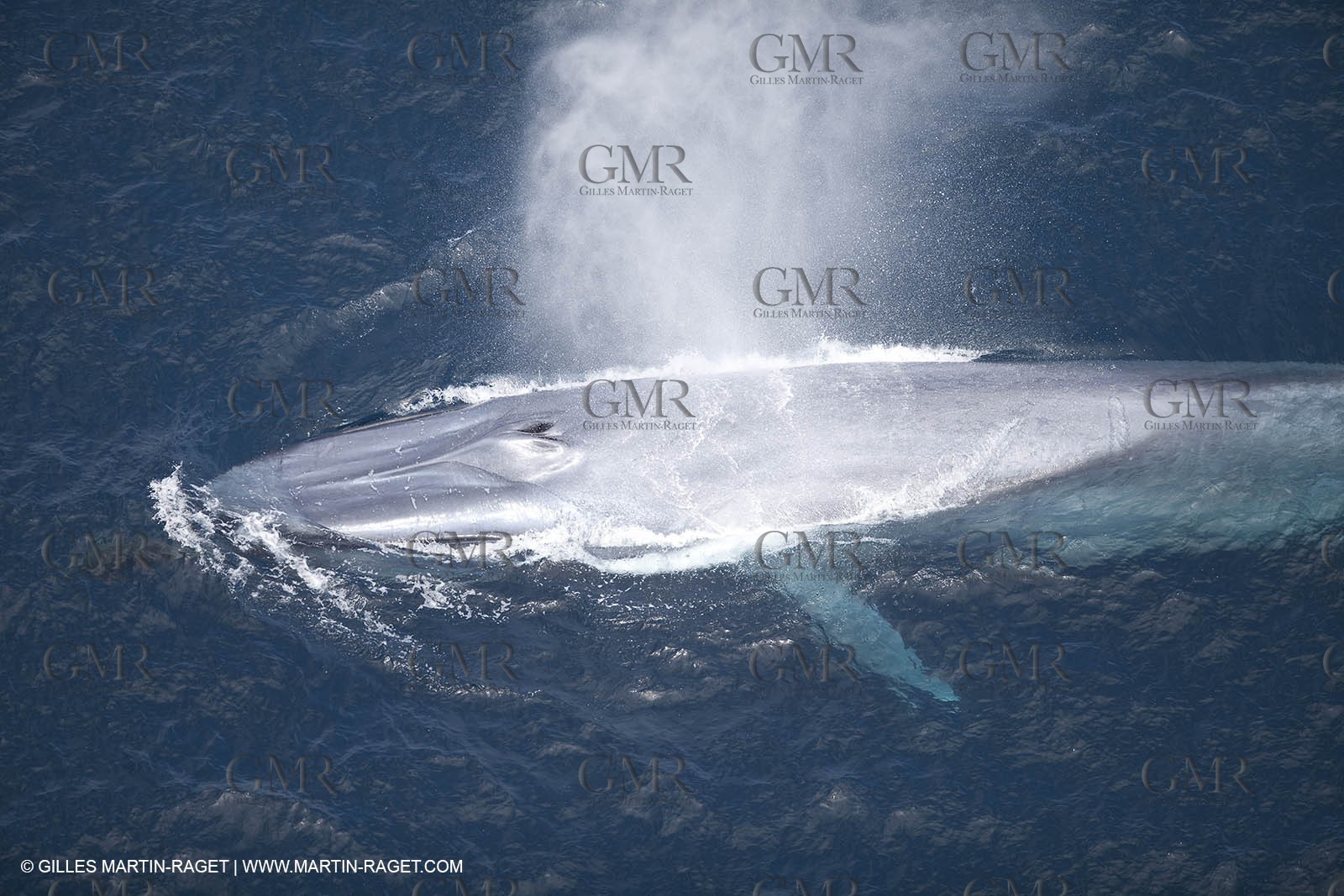 13 08 2009 - San Diego (USA,CA) - 33rd America's Cup - BMW ORACLE Racing - 90 ft Trimaran testings