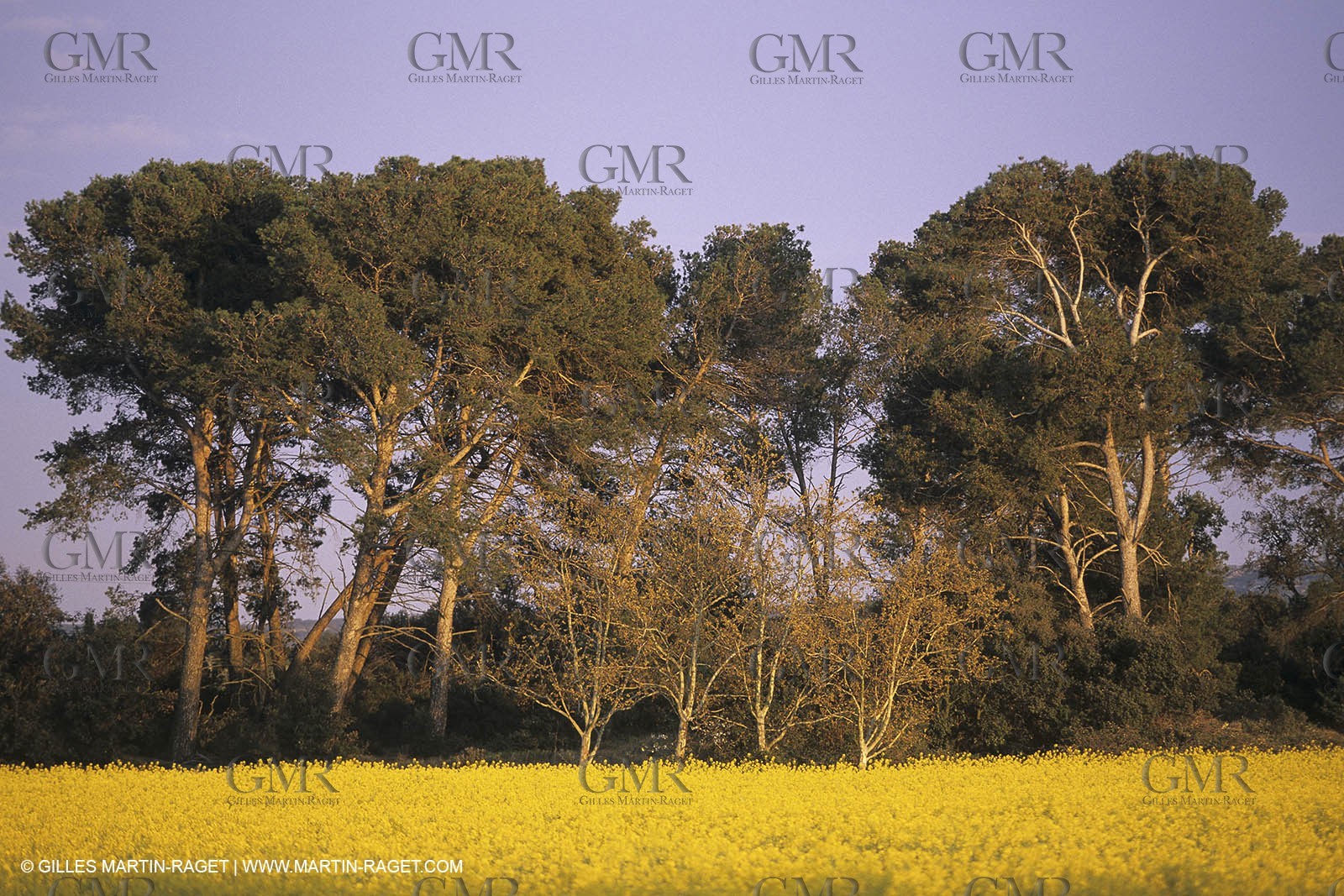 ALPILLES0019.jpg