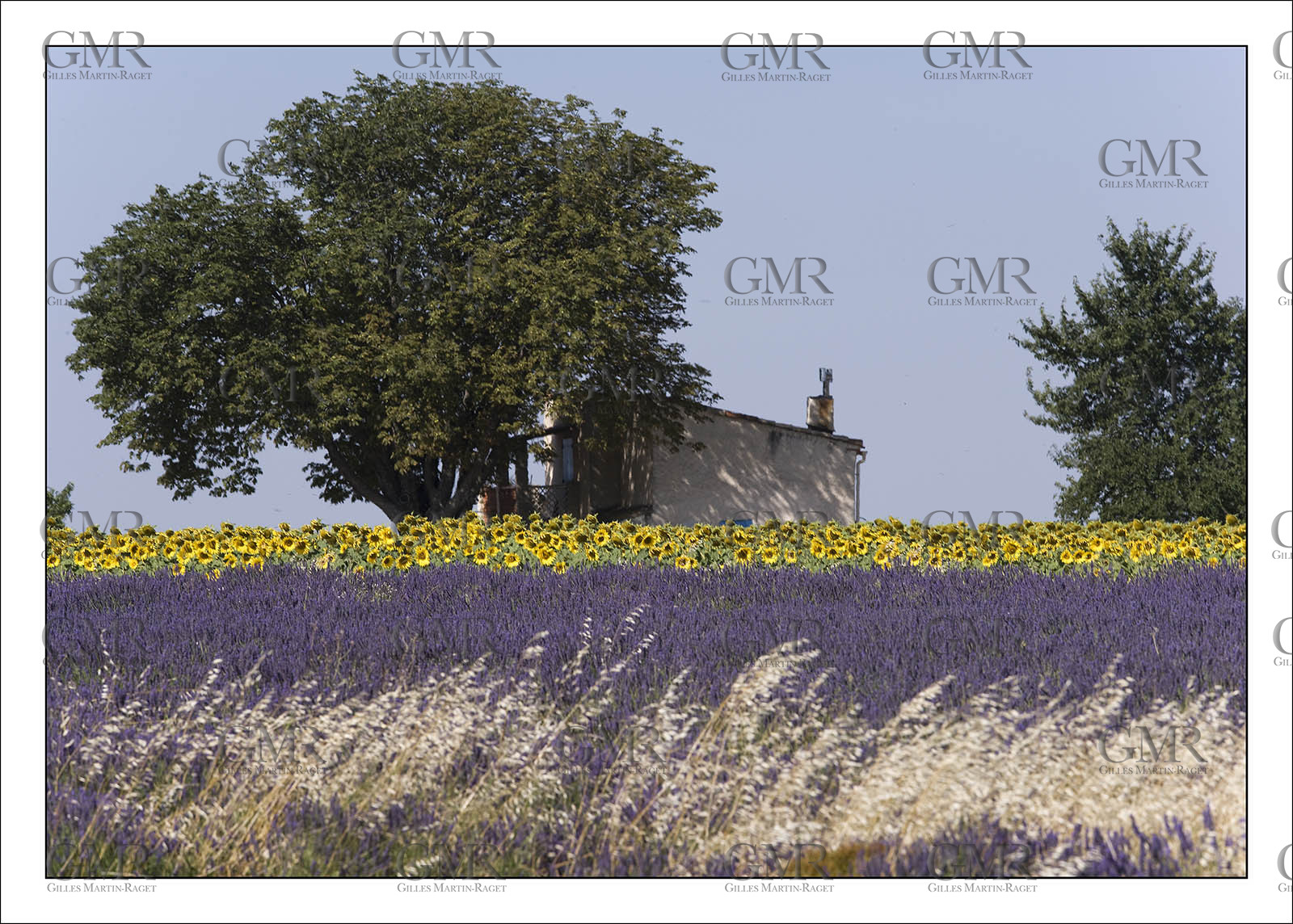 Product: in house made quality print on 8 ultrachome colors Epson ink Jet printer.Available sizes: . 30x40 cm. 50x70 cm. 80x120 cmAvailable papers: . Standard 250 gr glossy paper print, black streak, white margin, no signature. Top quality glossy 290 gr. paper, black streak, white margin, checked and signed by the author. Fine Art print (signed, numbered, stamped, registered) on demand. Other supports (Canvas, Acrylic, Metal) on demandPackaging: cylindric reinforced tubeShipping options: regular mail or Shipping companyClick on the basket icon to select your options and start the online ordering process