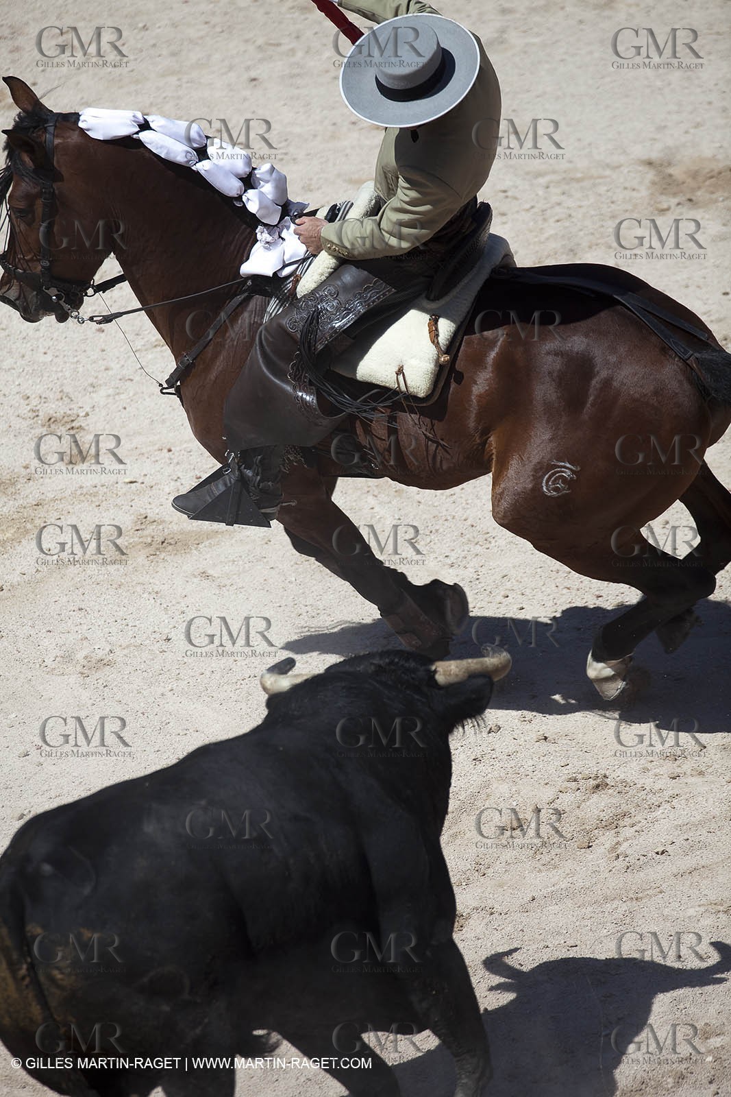 Monday 05 04 2010 - Arles (FRA,13) - Feria 2010 - -Corrida de rejon - Fermin Bohorquez - Pabloe Hemoso de Mendoza - Andy Cartagena - Toros Bohorquez