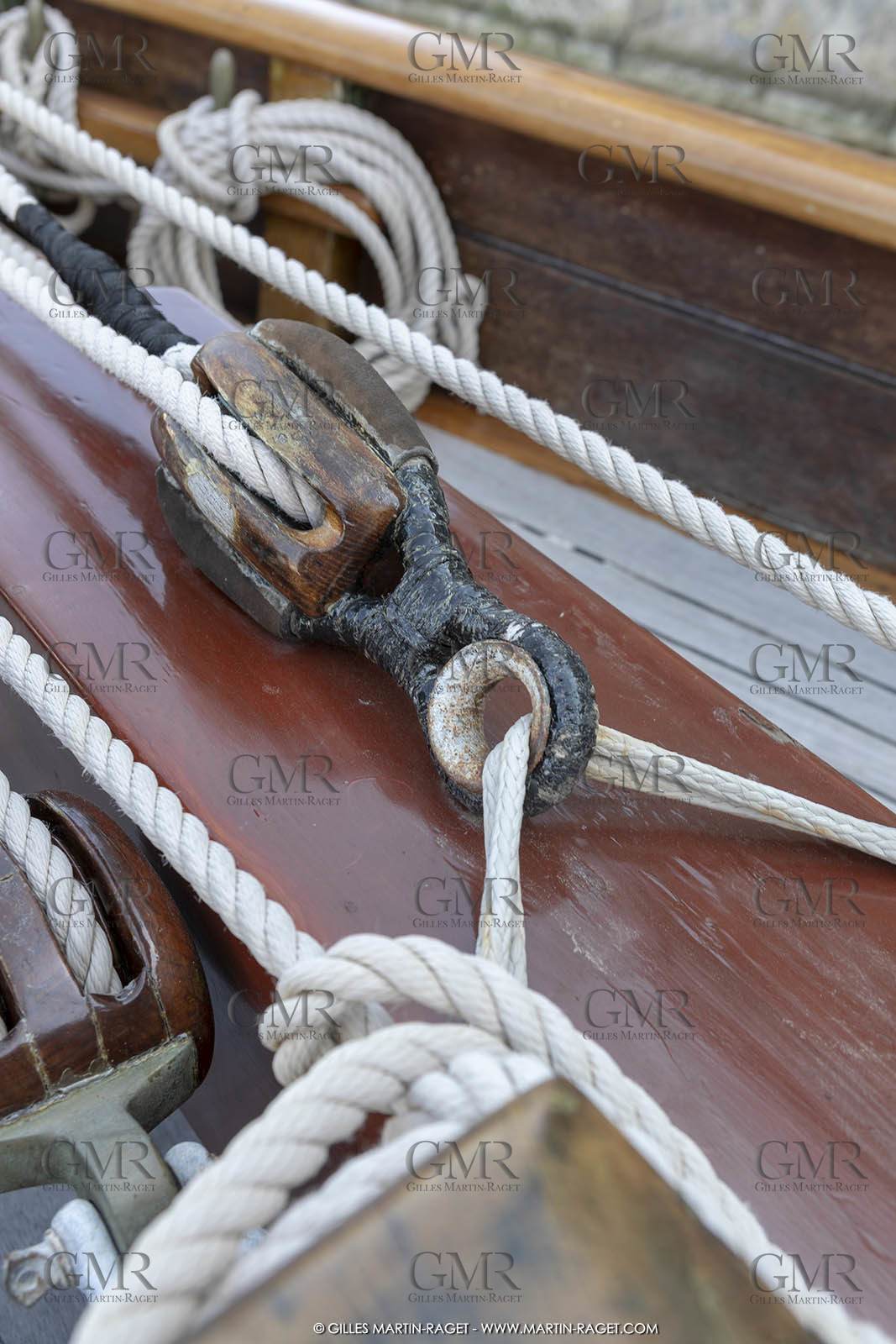 29 03 2019, Barcelona (Spain), Marigold