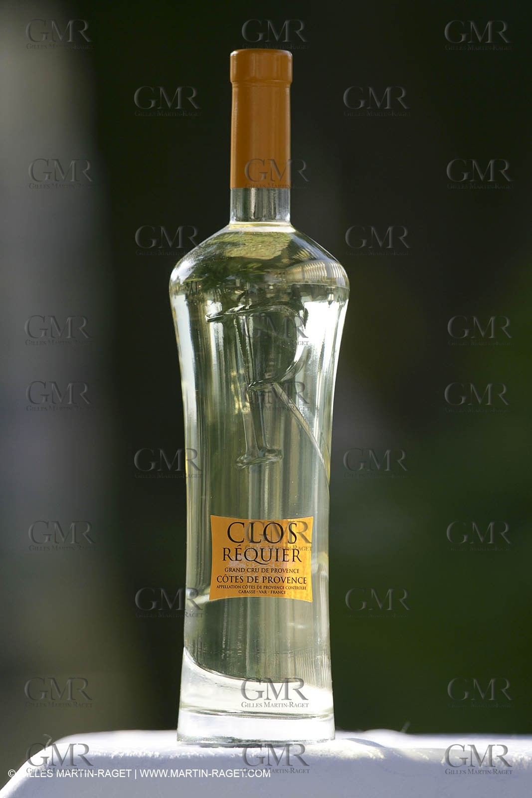 28 02 2008 - Cabasse (FRA, 83) - Domaine du Lac vines