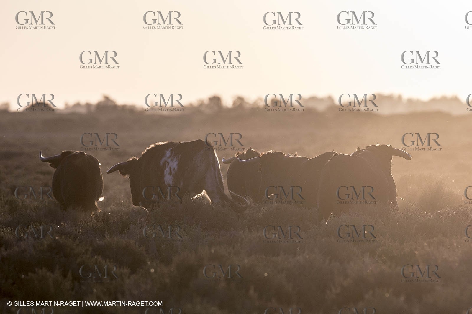 23 10 2014, Salins de Giraud (FRA,13), Salt & Speed 2014, Charlotte Consorti
