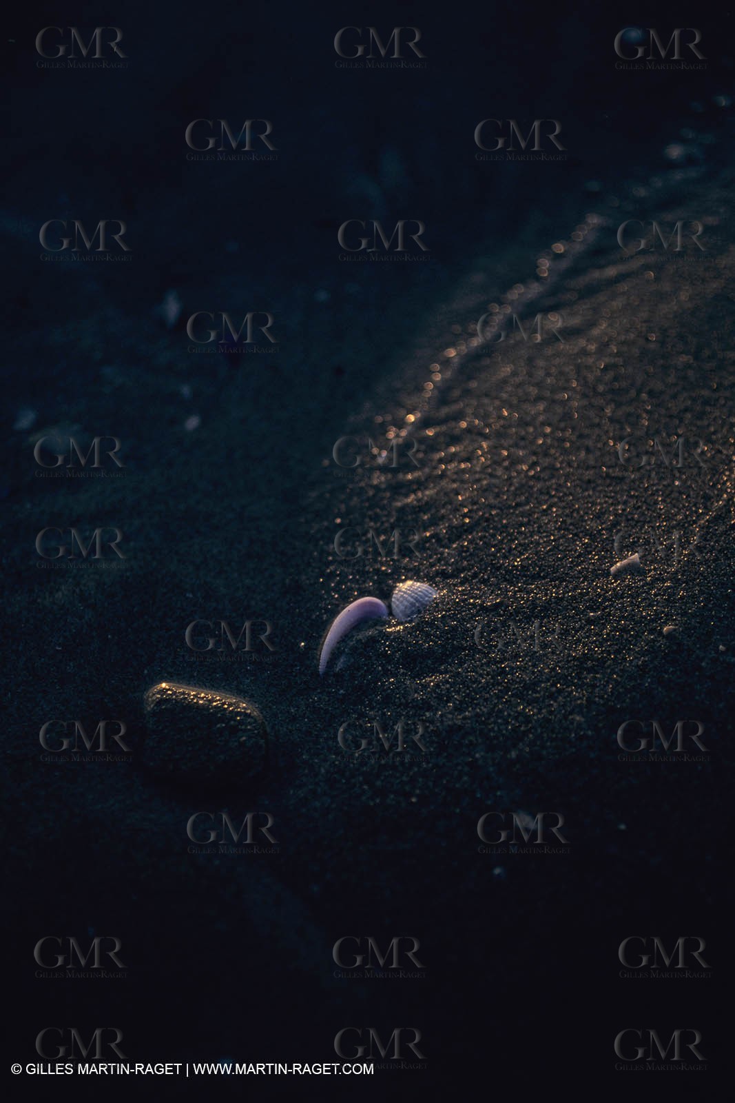 France, Provence, Camargue, Nature, plage, sable