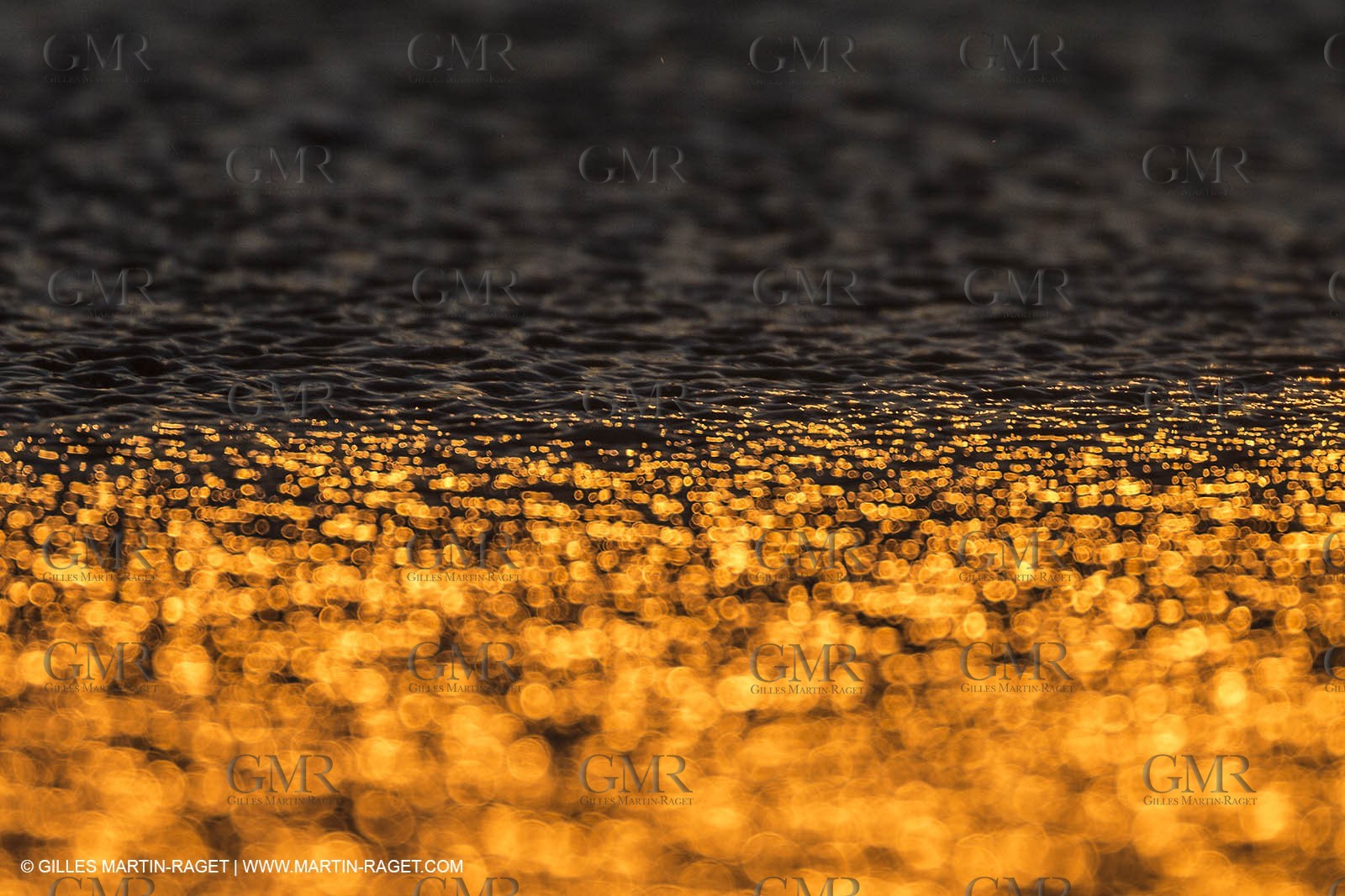 21 12 2014, Barcelona (ESP), Barcelona World Race 2014-15,