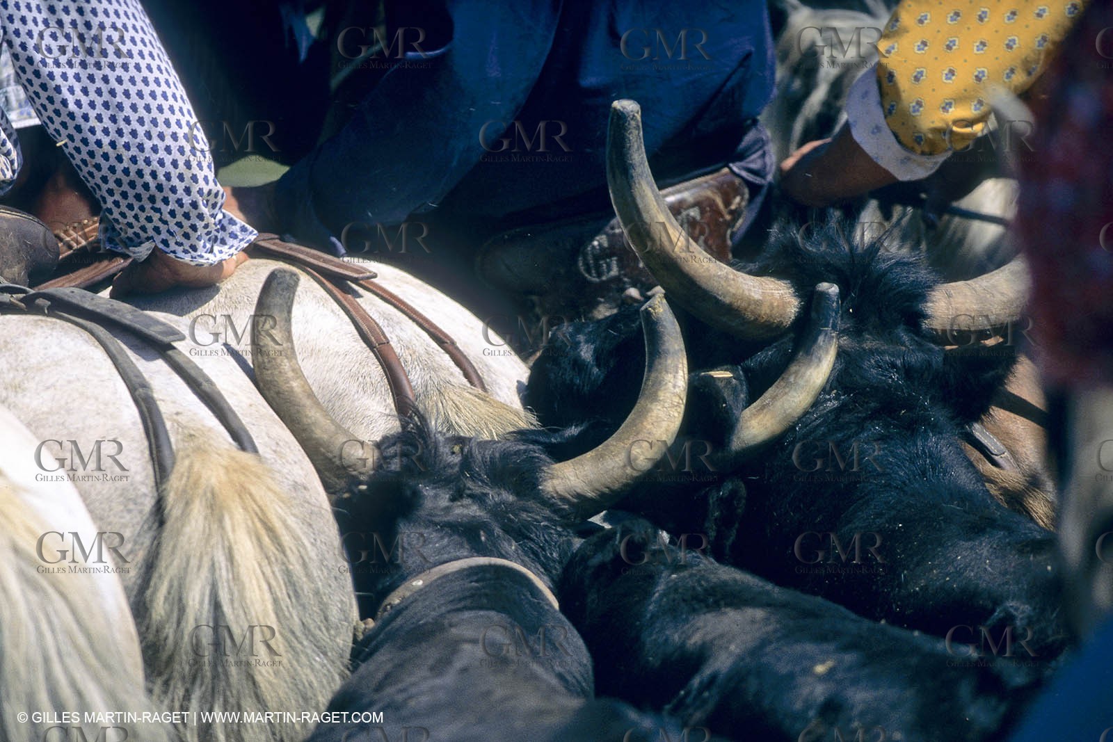 Camargue (FRA,13) - Gardians