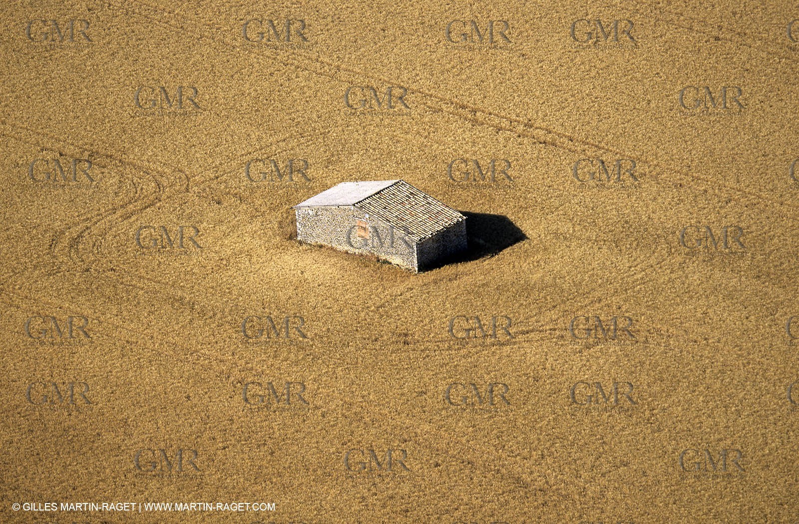 Plateau de Valensole,  2005,  Champs de lavande