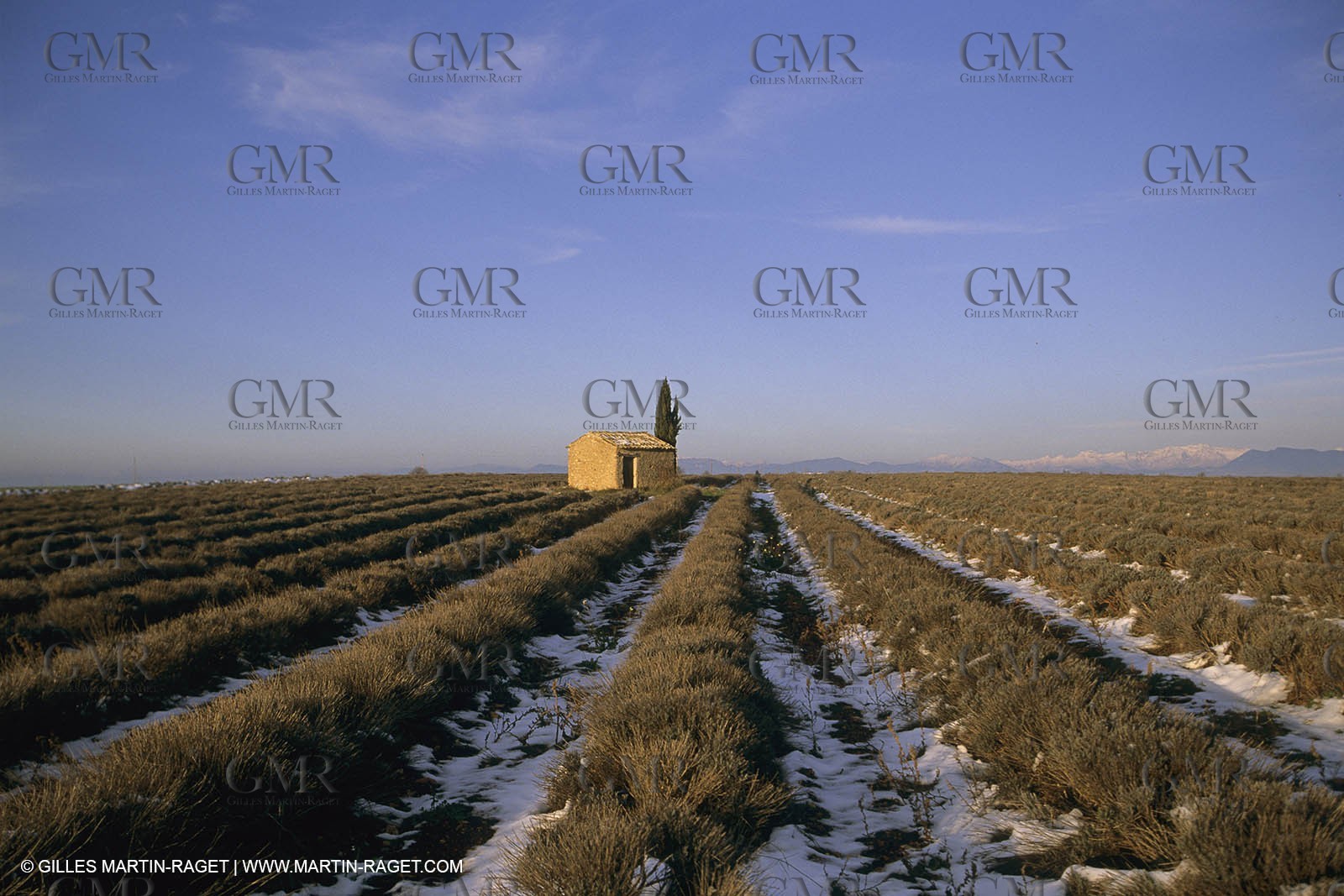 France, Provence, Neige en hiver   Snow in Provence