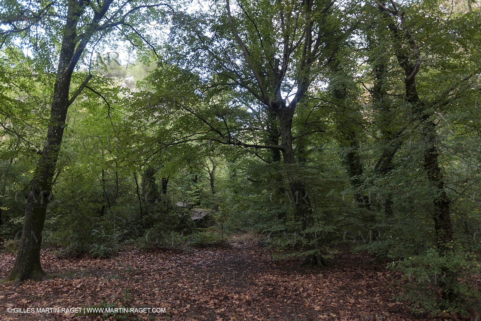 23 10 2012 - Gemenos (FRA) - Départemental Park of Saint Pons valley