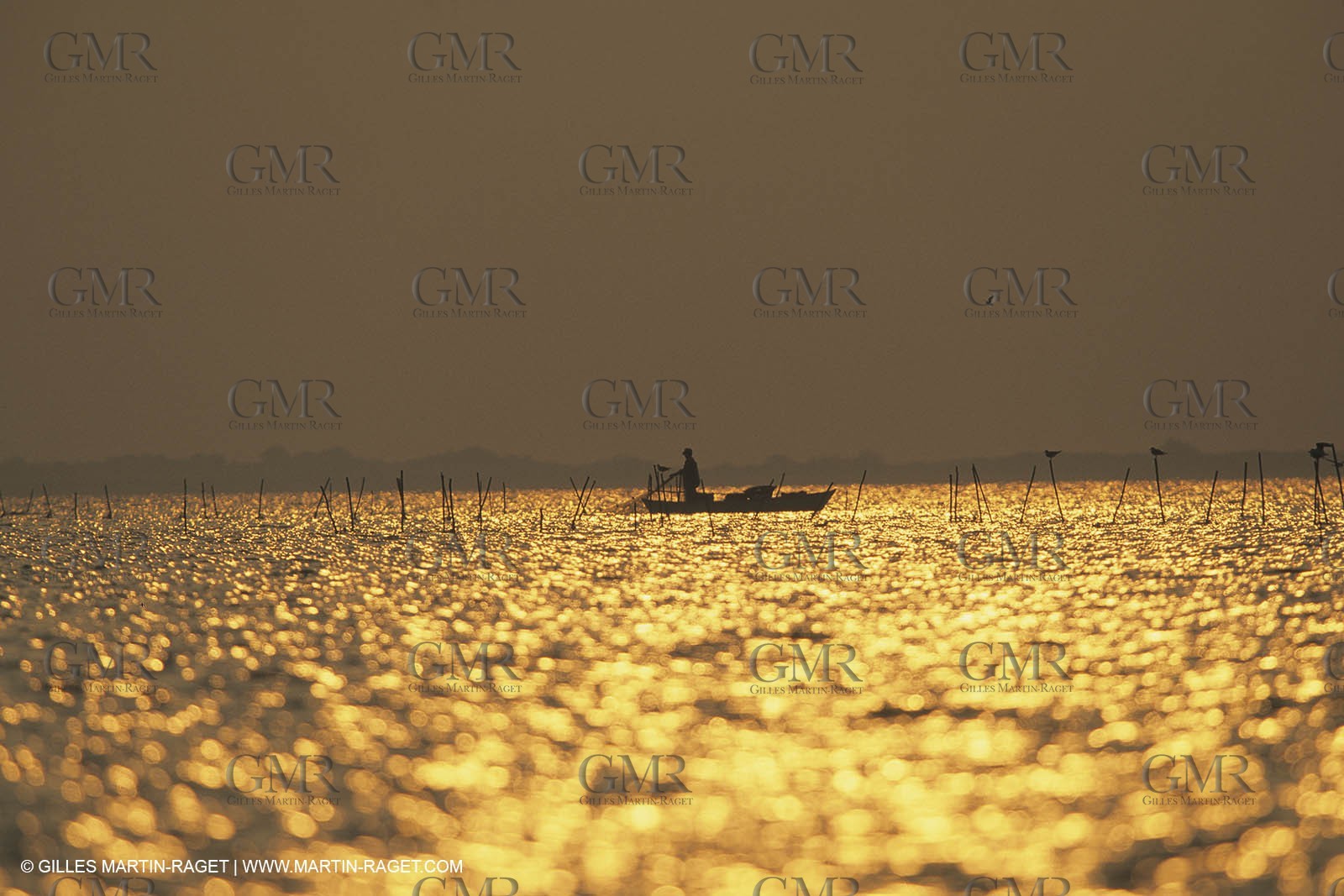France, Provence, Camargue, Nature, Pêche, Fishing