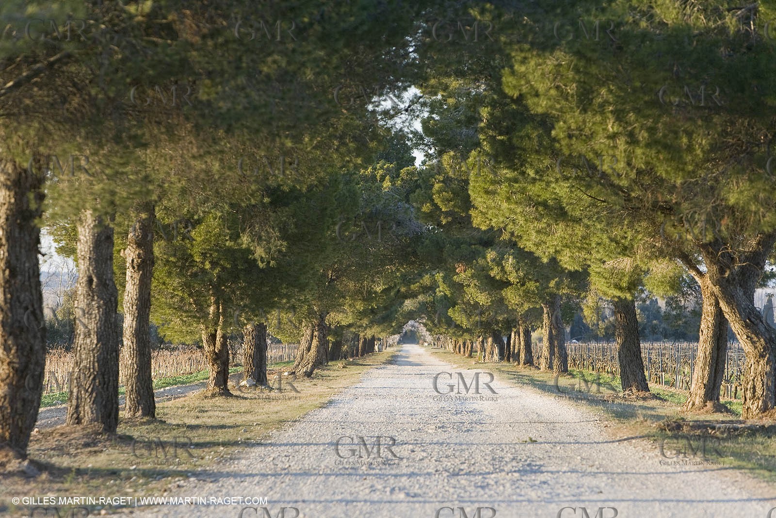 16 02 2008 - Les Baux de Provence (FRA, 13) - Alpilles hills landscapes