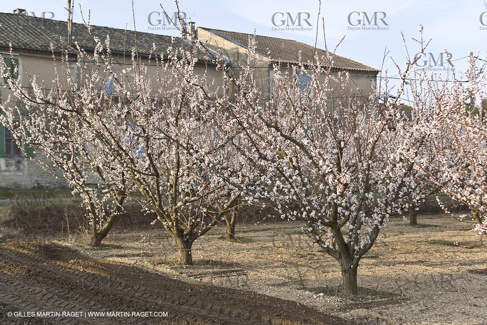 16 02 2008 - Les Baux de Provence (FRA, 13) - Alpilles hills landscapes