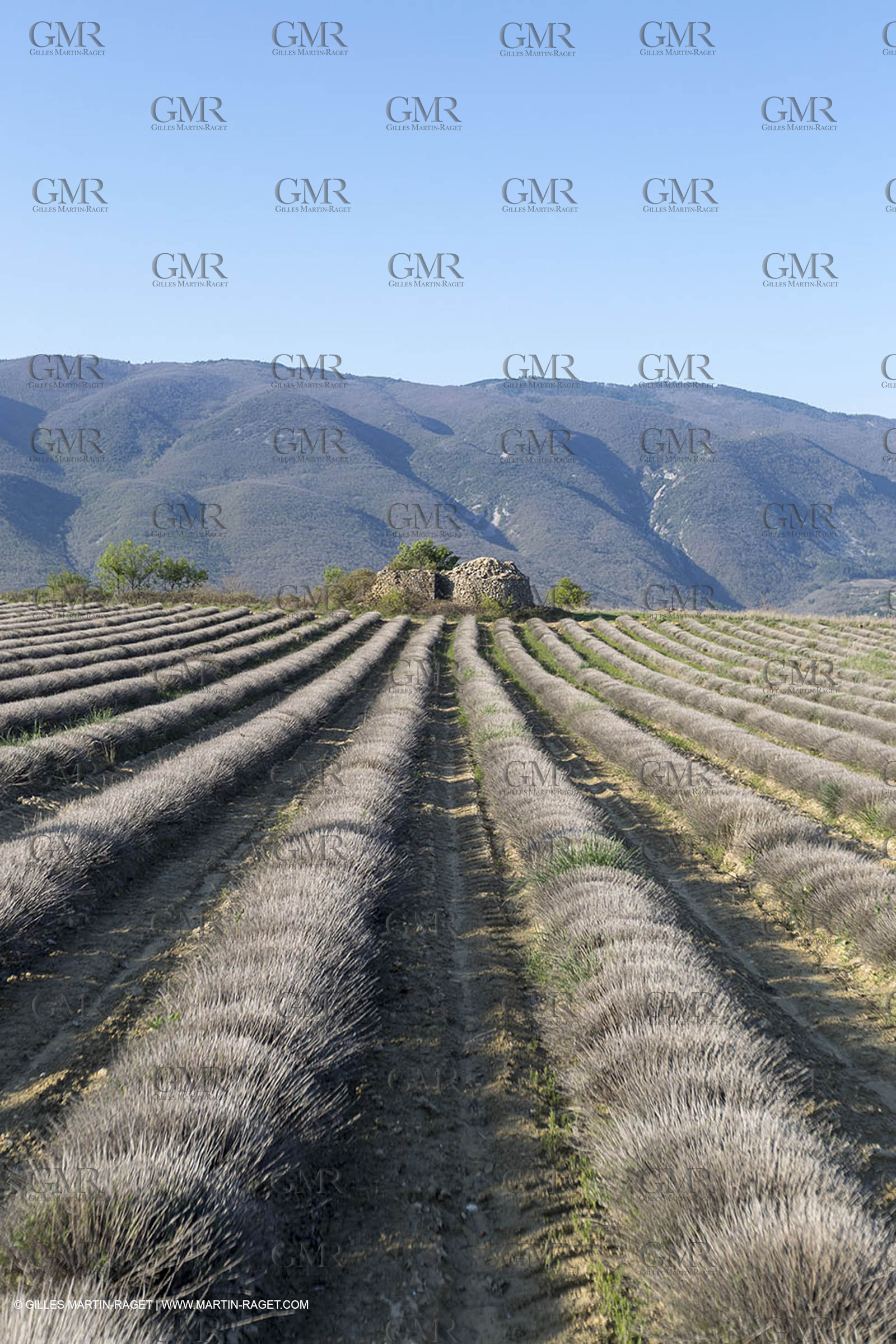 19 04 2018, Saint Martin de Castillon (FRA,84)