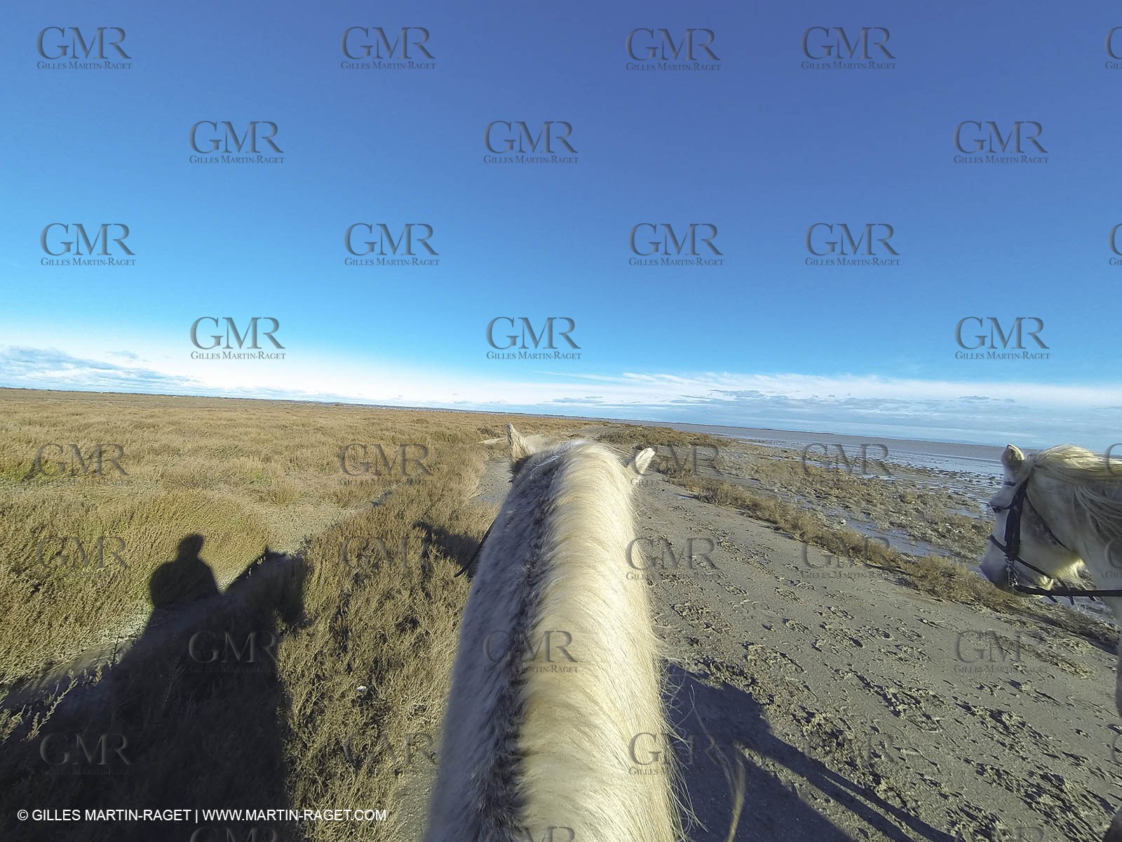 26 12 2013 - Les Saintes Maries de la Mer (FRA,13) - Horese riding at Cabanes de Cacharel