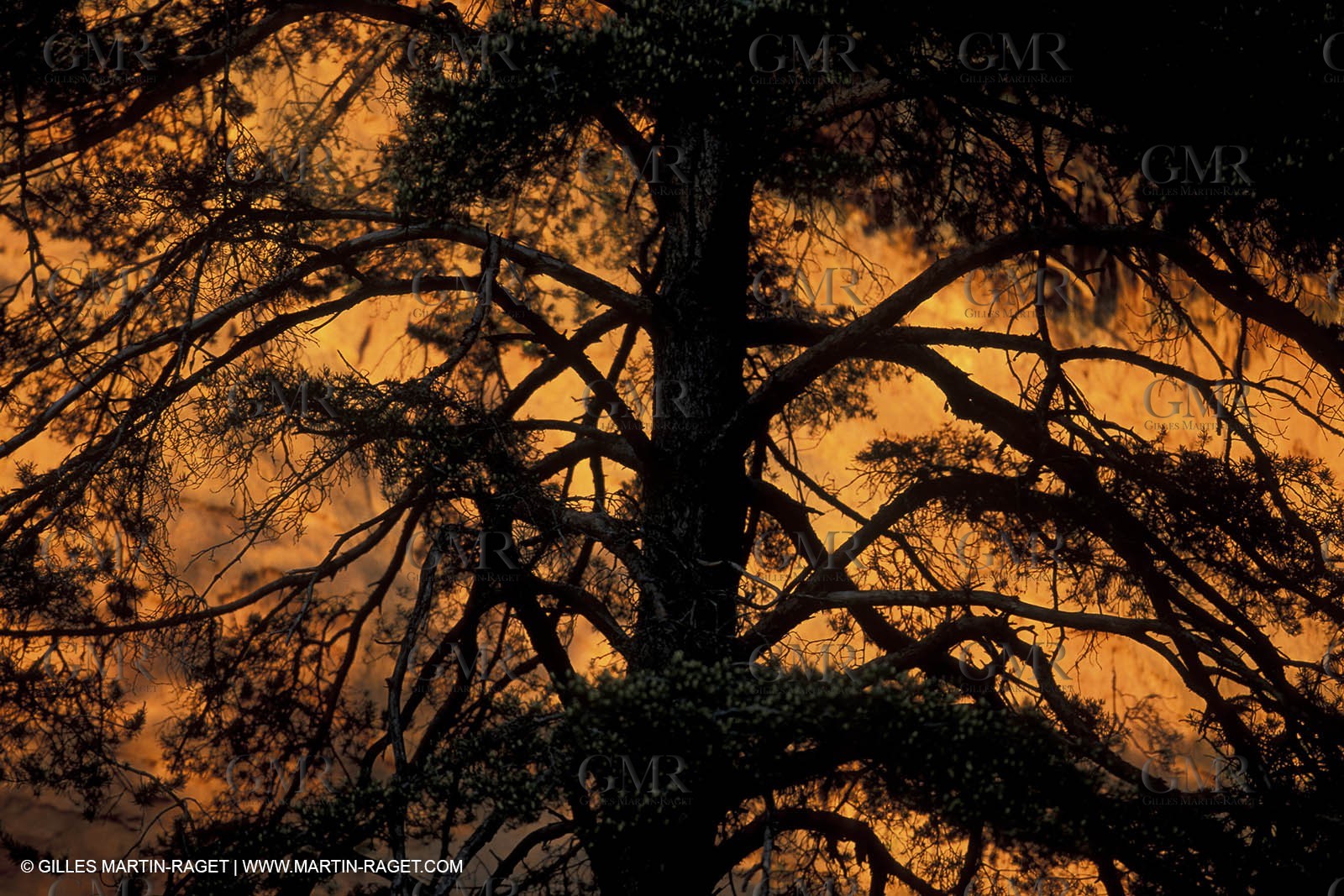 France, Provence, Luberon, Carrières d'ocre près d'Apt, ocher stone pit near Apt
