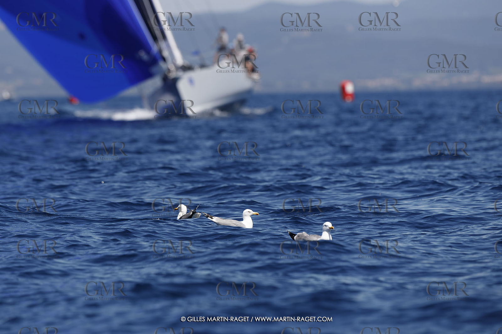 11 05 2024, Porquerolles (FRA, 83), Porquerolles's Race 2024, Jour 4